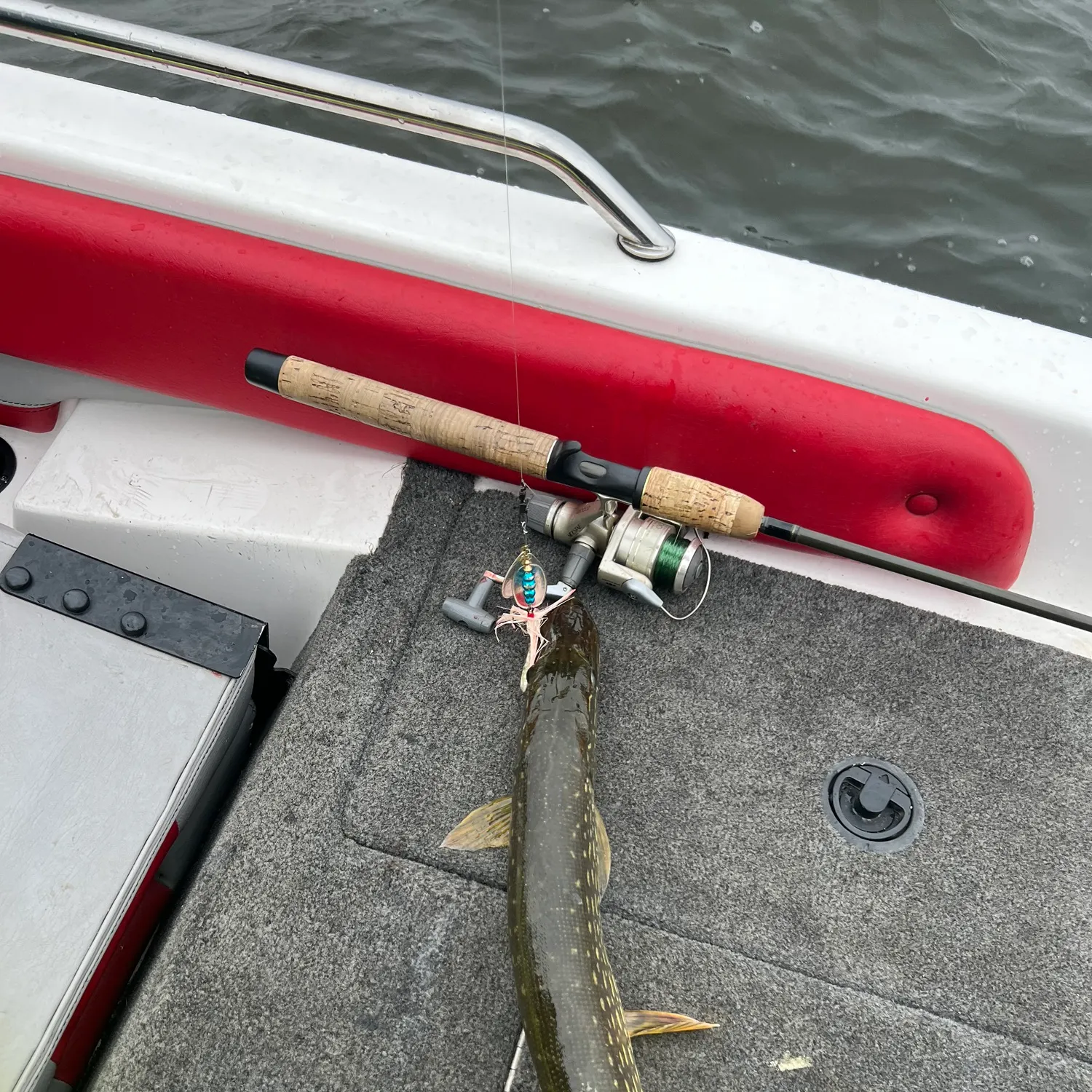 Northern pike caught on Fishbrain
