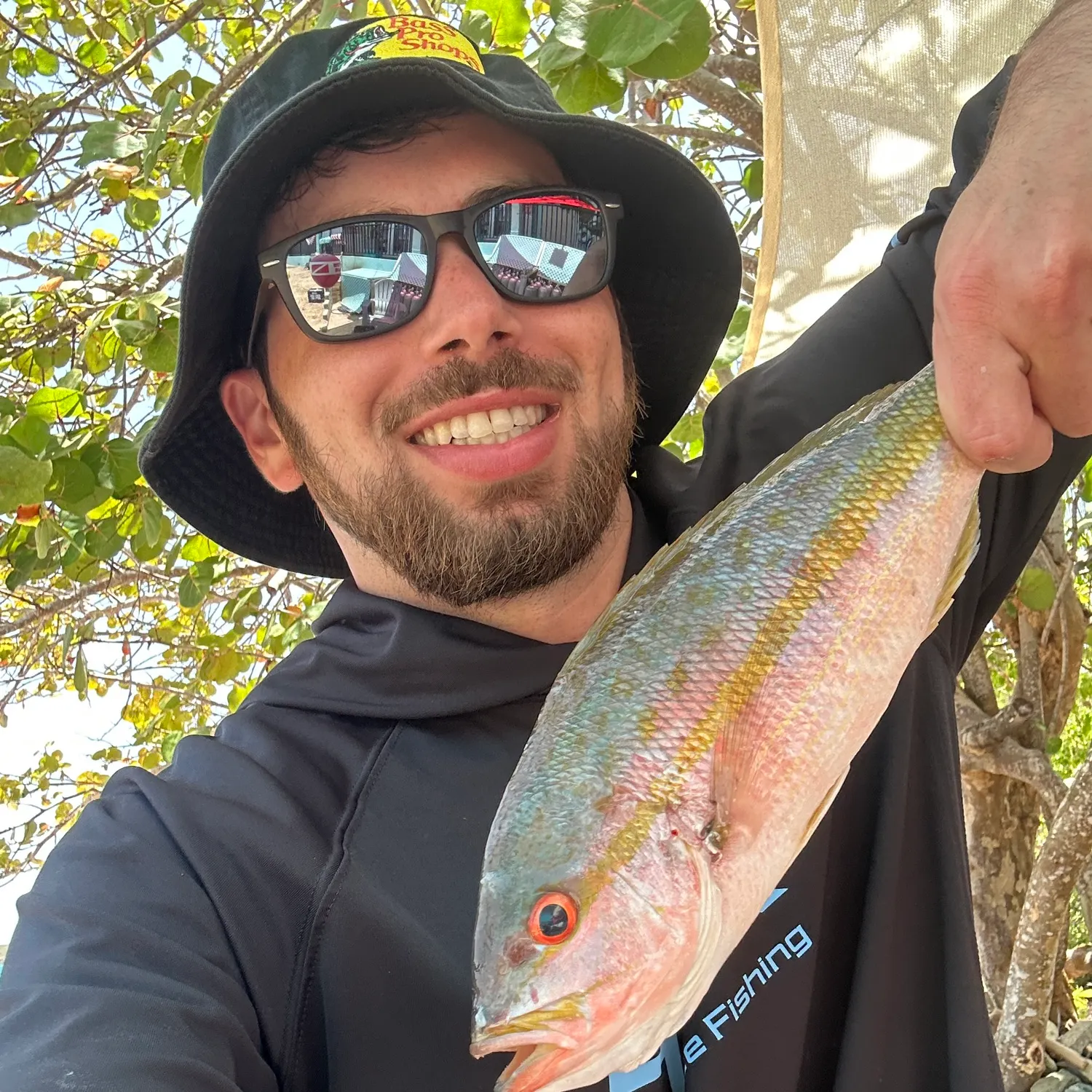 The most recent Yellowtail snapper catches on Fishbrain
