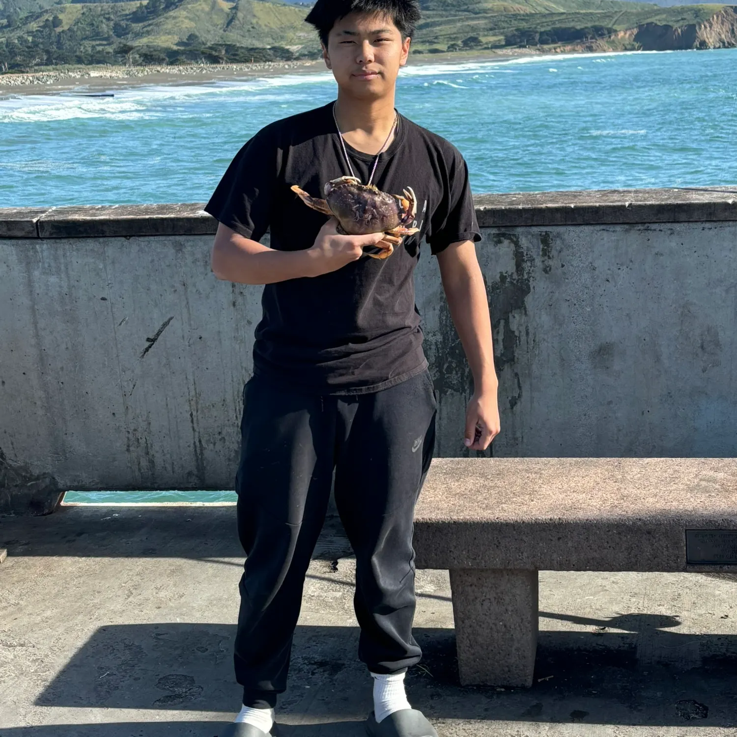 The most recent Dungeness crab catches on Fishbrain