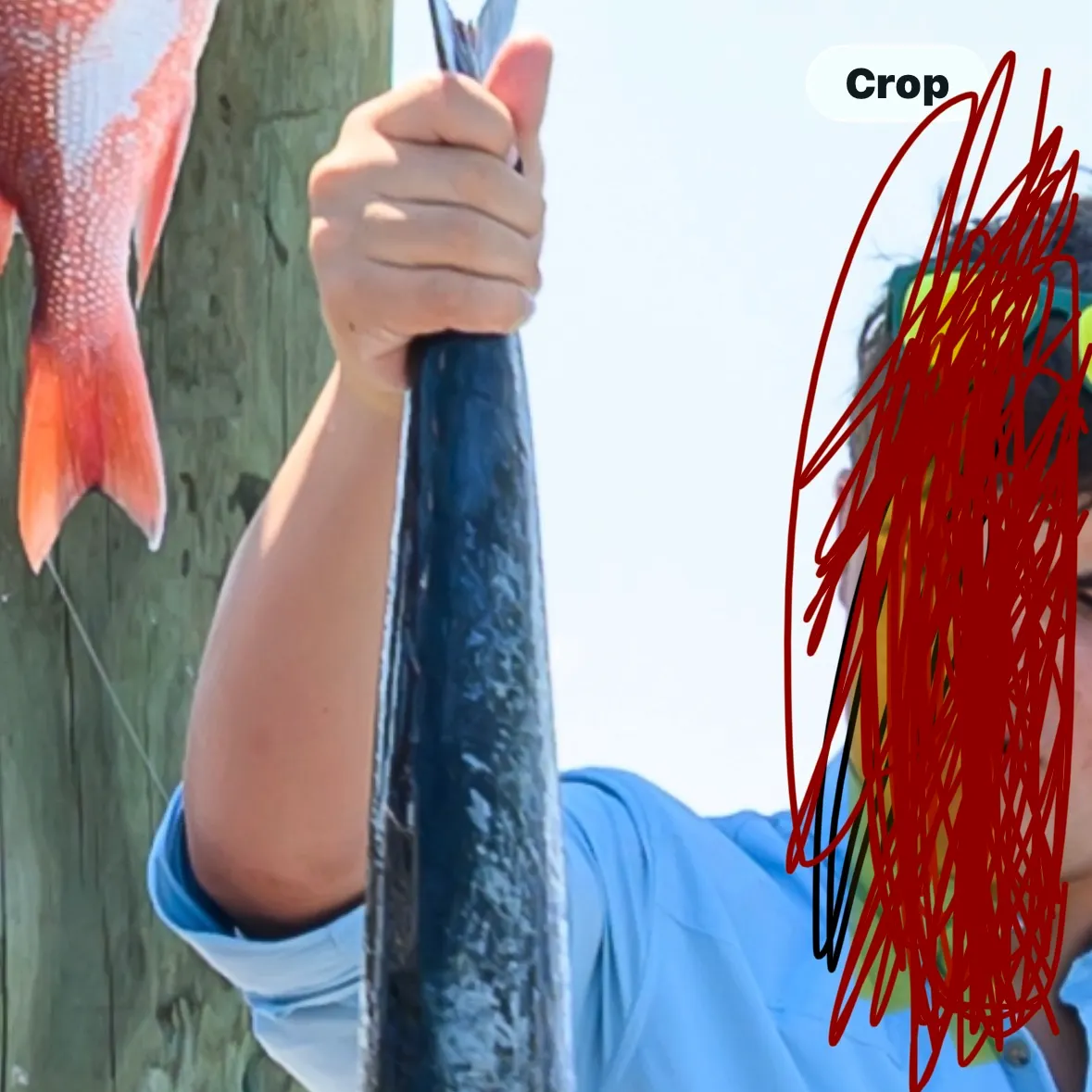 The most recent King mackerel catches on Fishbrain