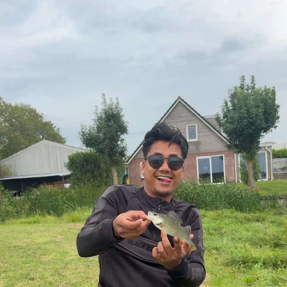 European perch caught on Fishbrain