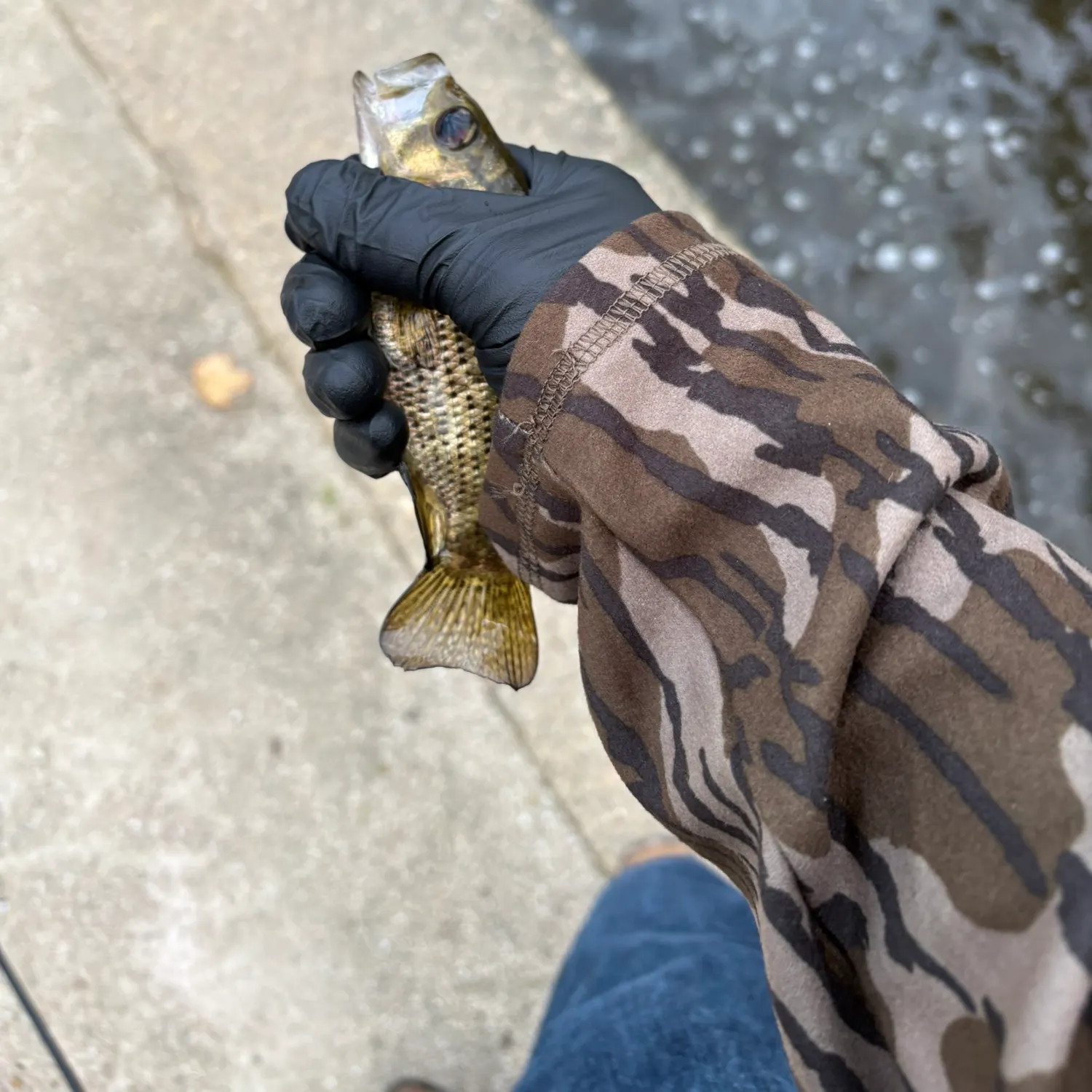 catch