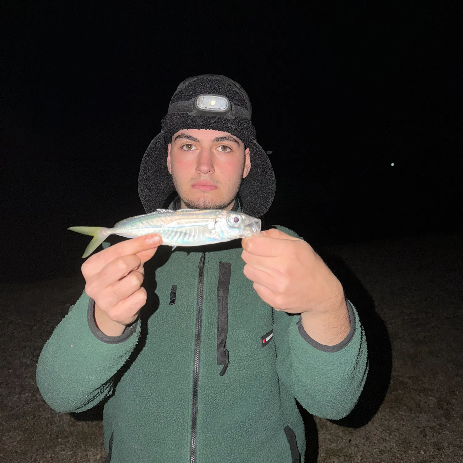 The most recent Bullet tuna catches on Fishbrain