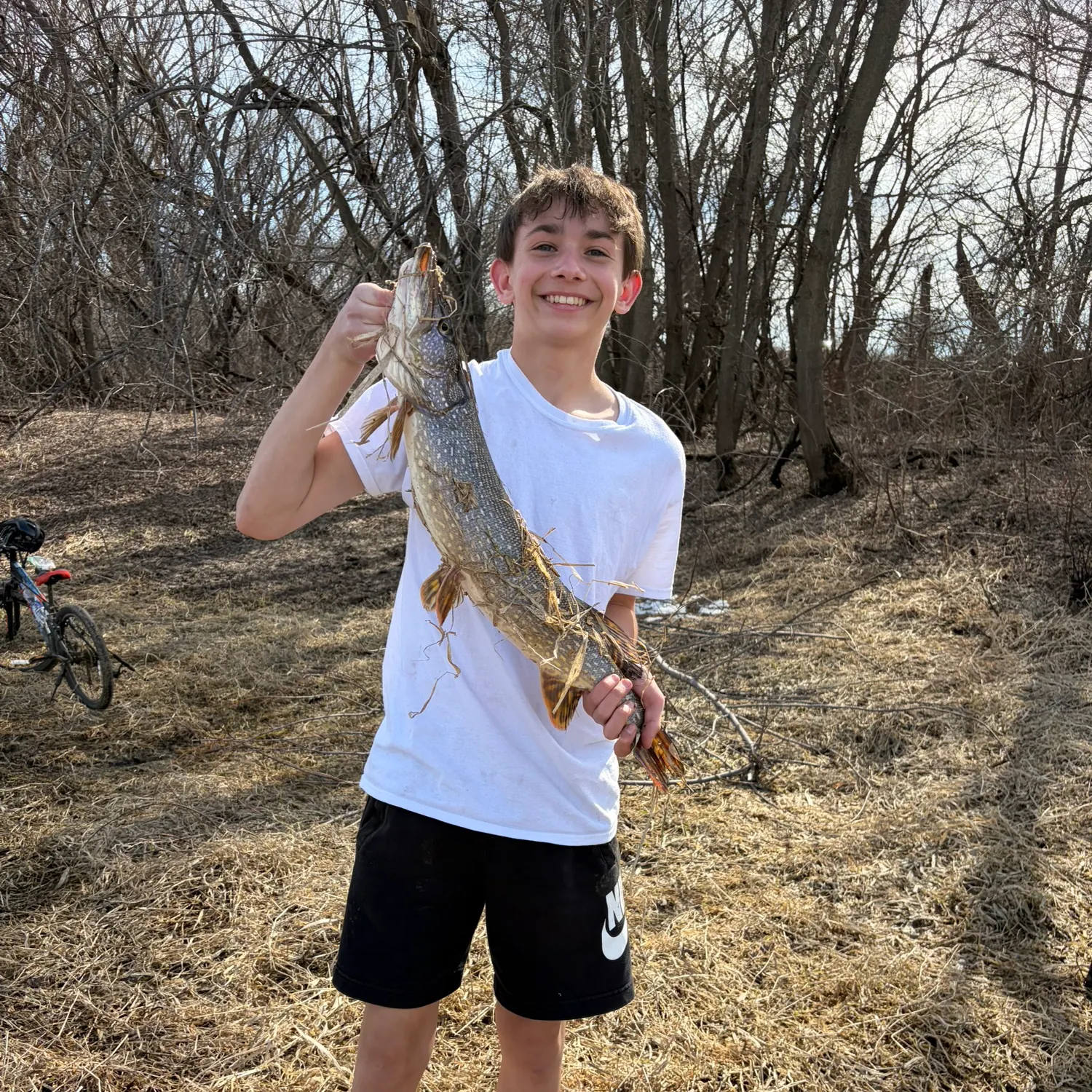 The most recent Northern pike catches on Fishbrain