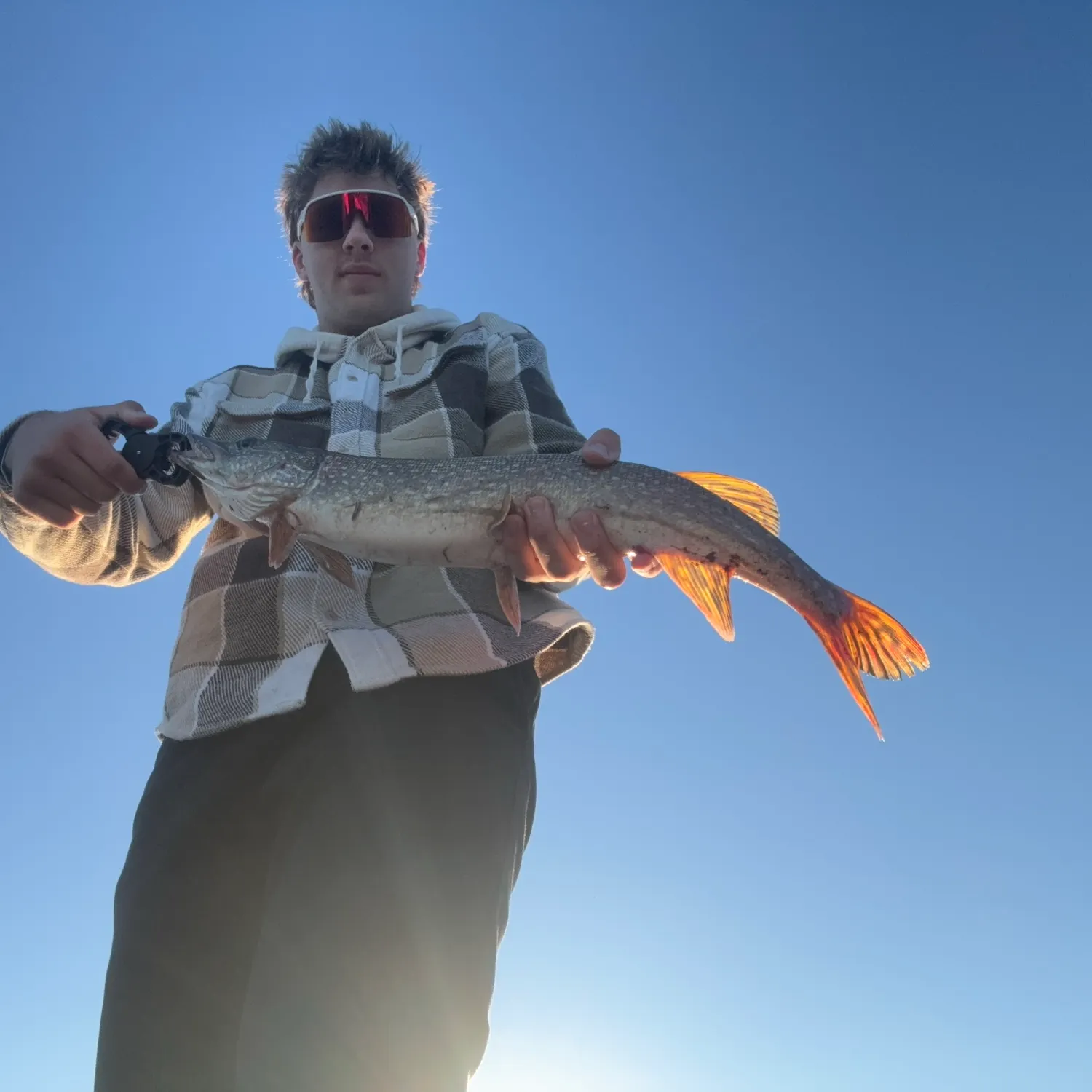 Northern pike caught on Fishbrain