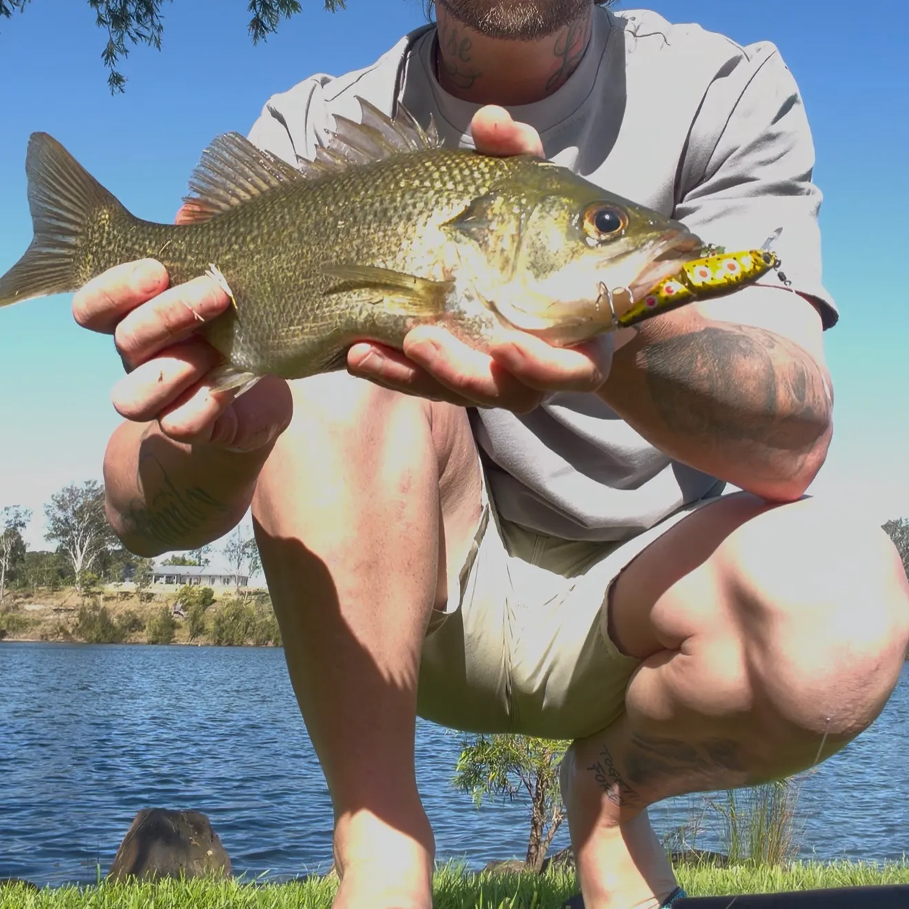 Australian bass caught on Fishbrain