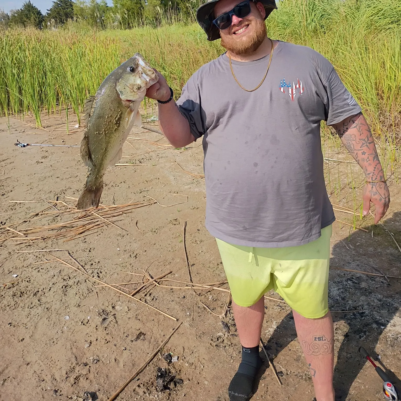 Largemouth bass caught on Fishbrain