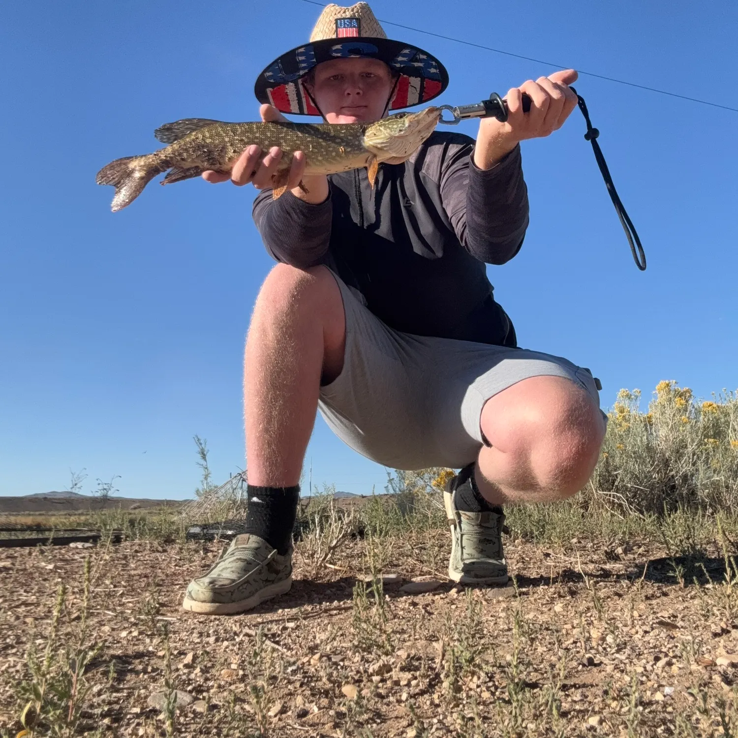 Northern pike caught on Fishbrain