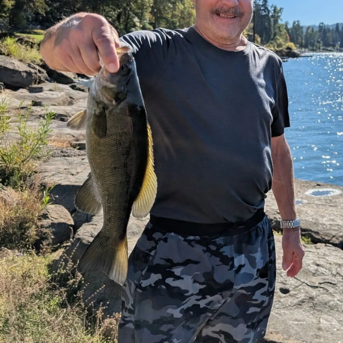 Smallmouth bass caught on Fishbrain