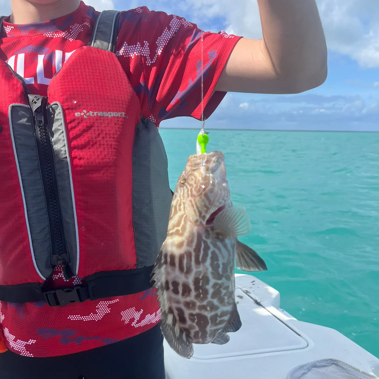 The most recent Black grouper catches on Fishbrain