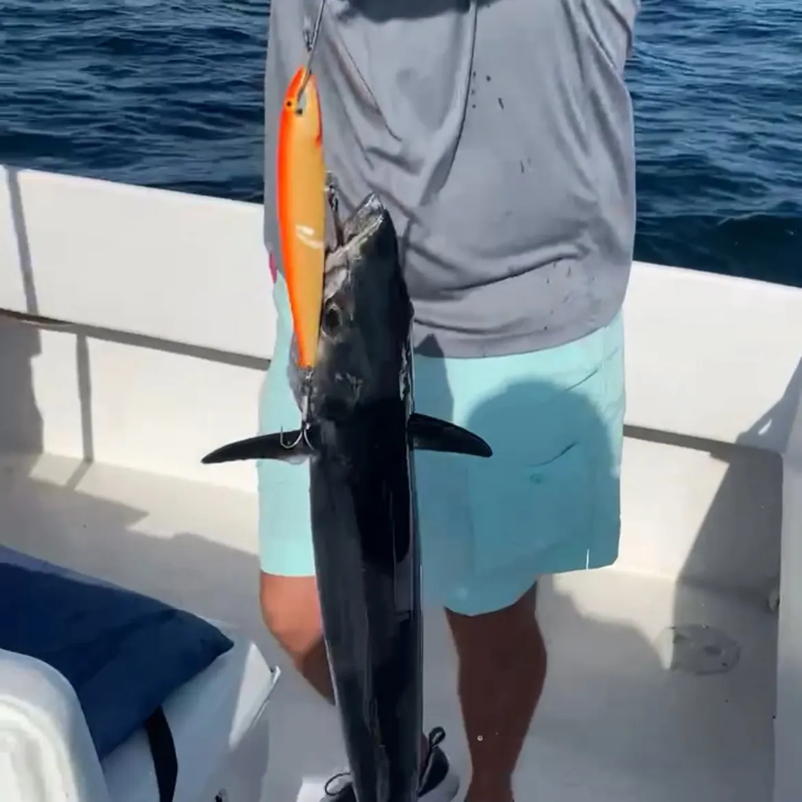 The most recent King mackerel catches on Fishbrain