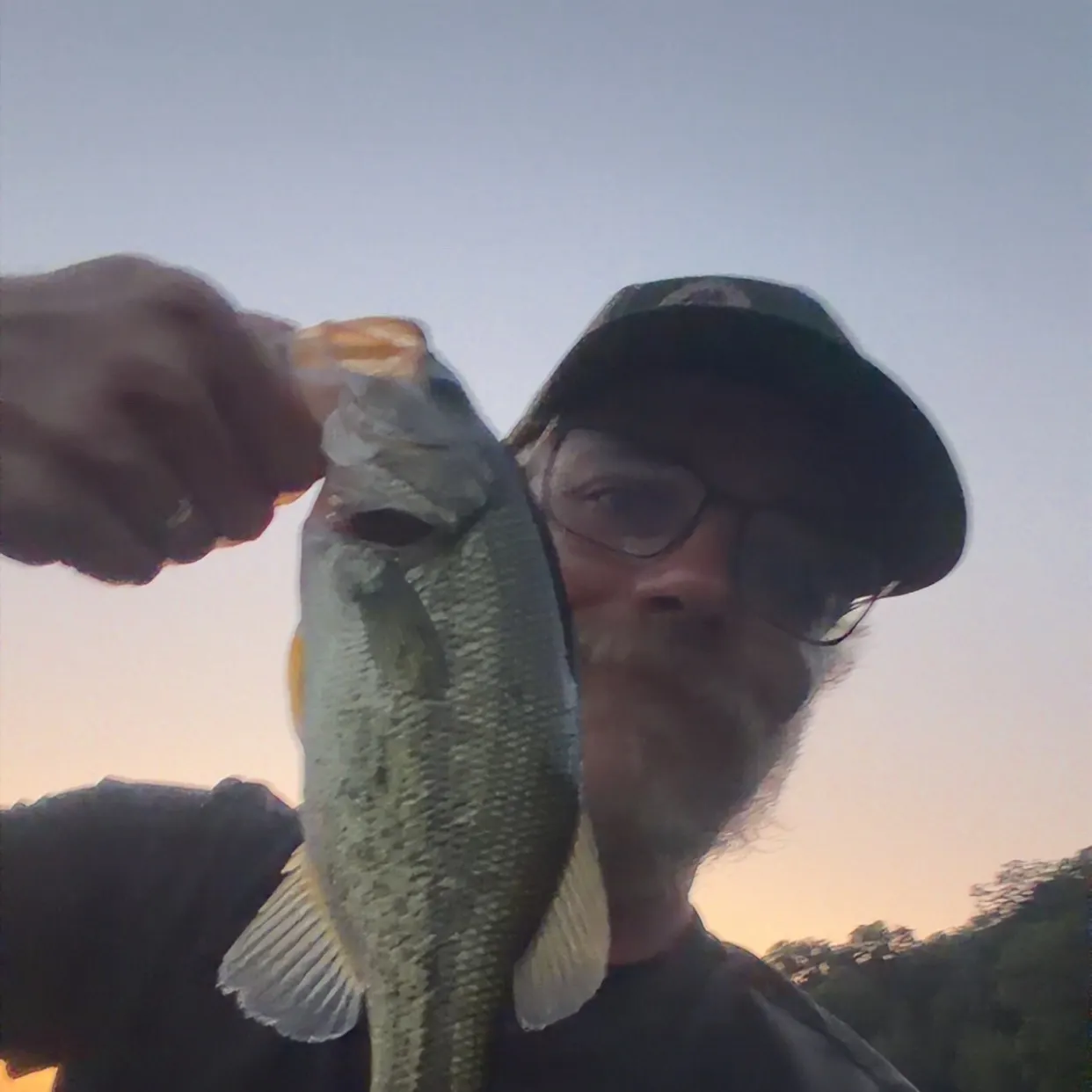 Largemouth bass caught on Fishbrain