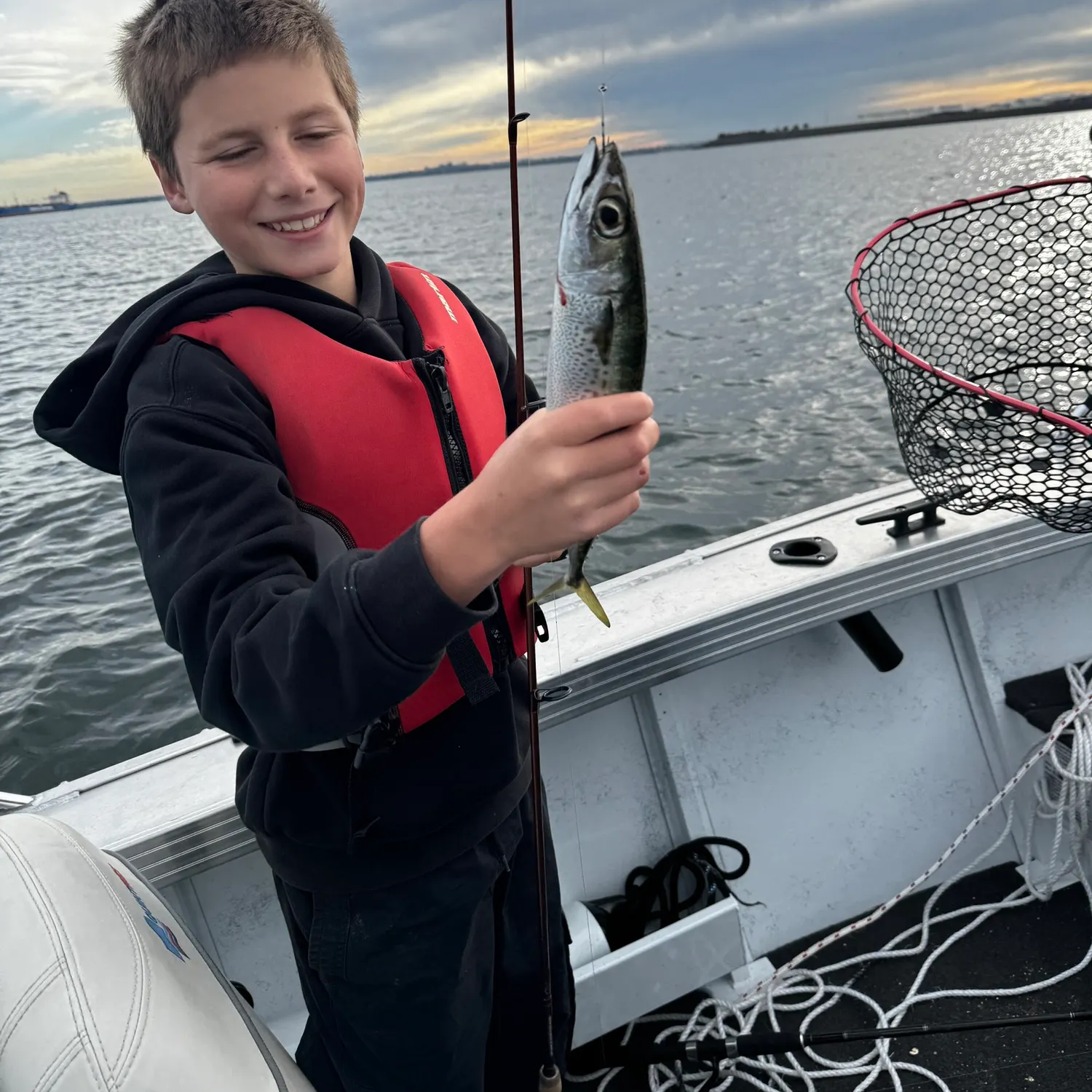 The most recent Blue mackerel catches on Fishbrain