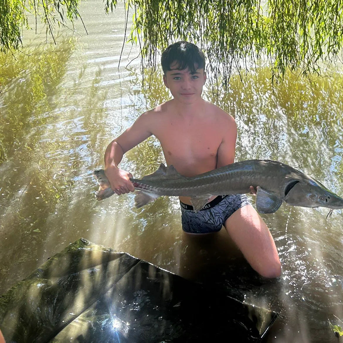 The most recent Lake sturgeon catches on Fishbrain