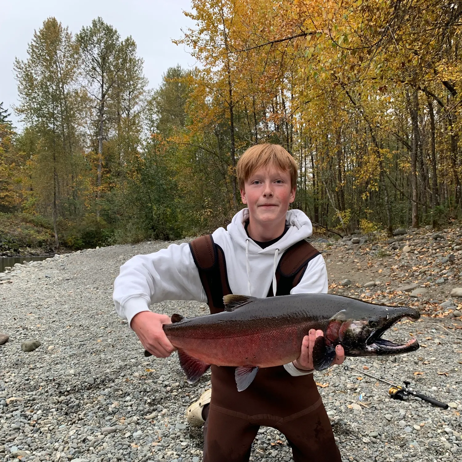 Coho salmon caught on Fishbrain