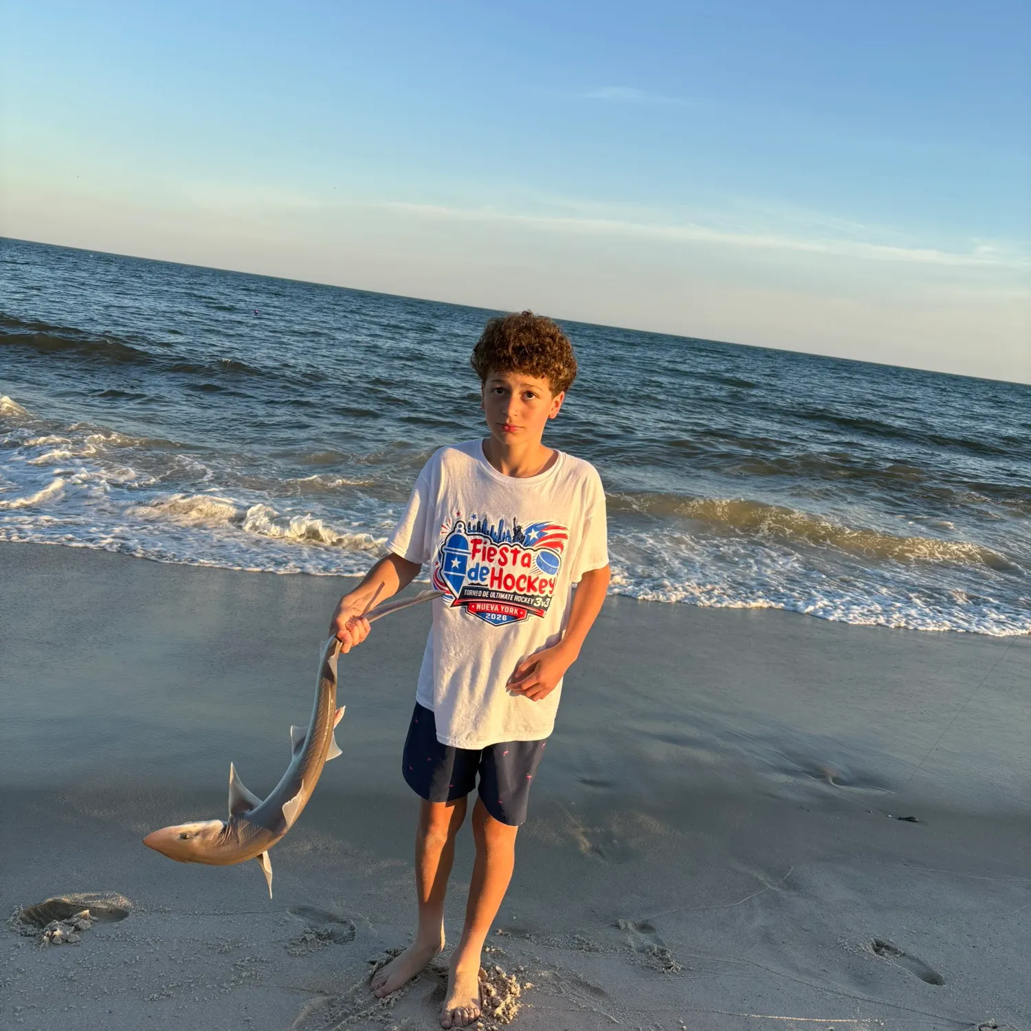 The most recent Piked dogfish catches on Fishbrain