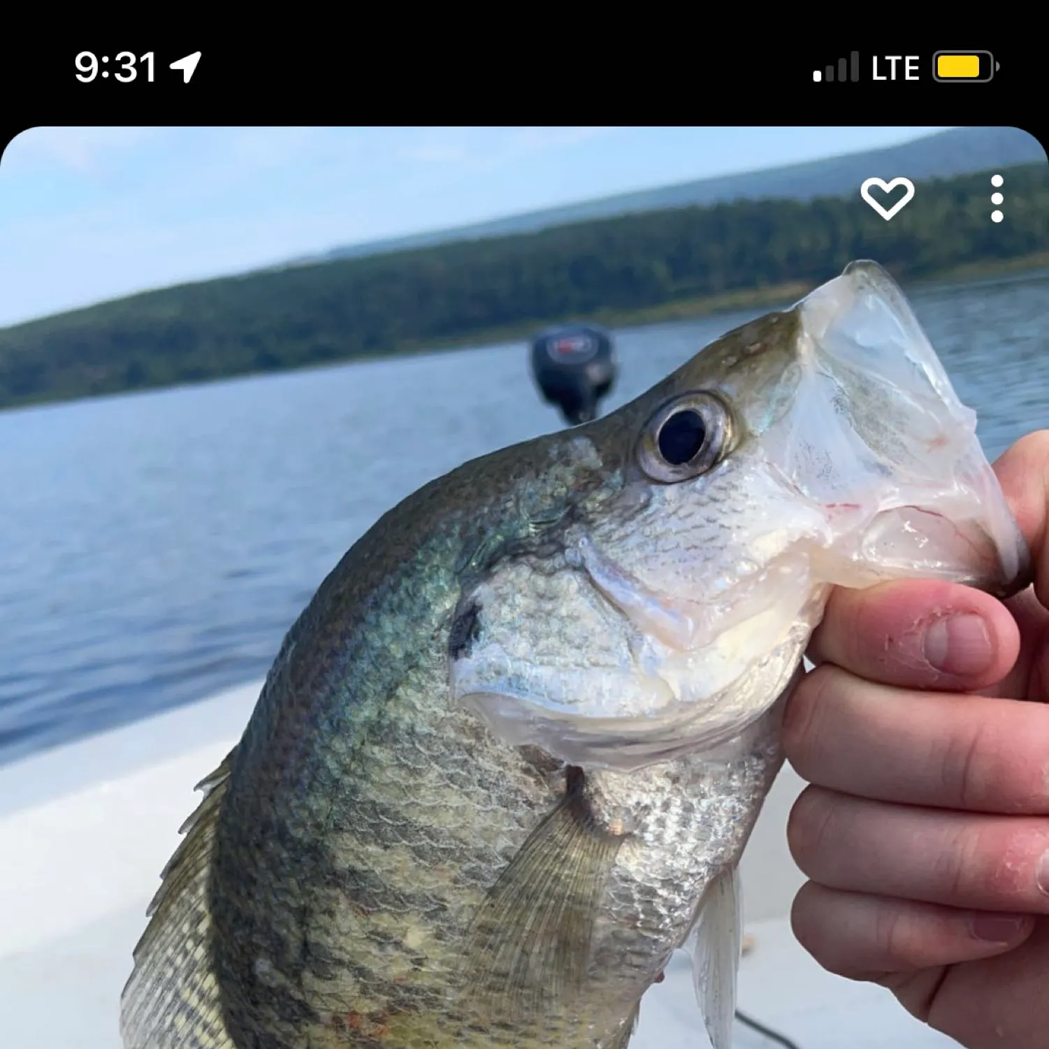 recently logged catches