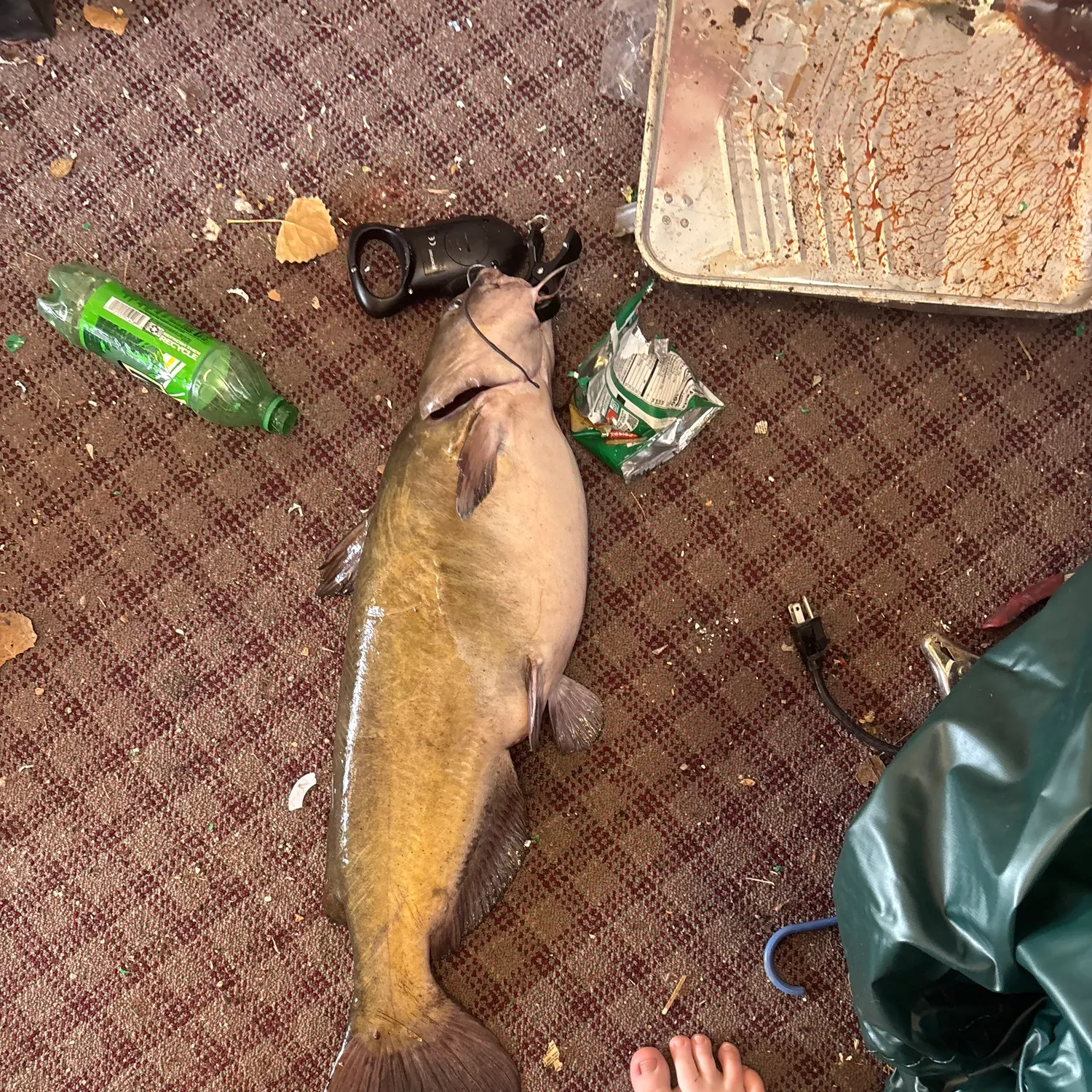 catch