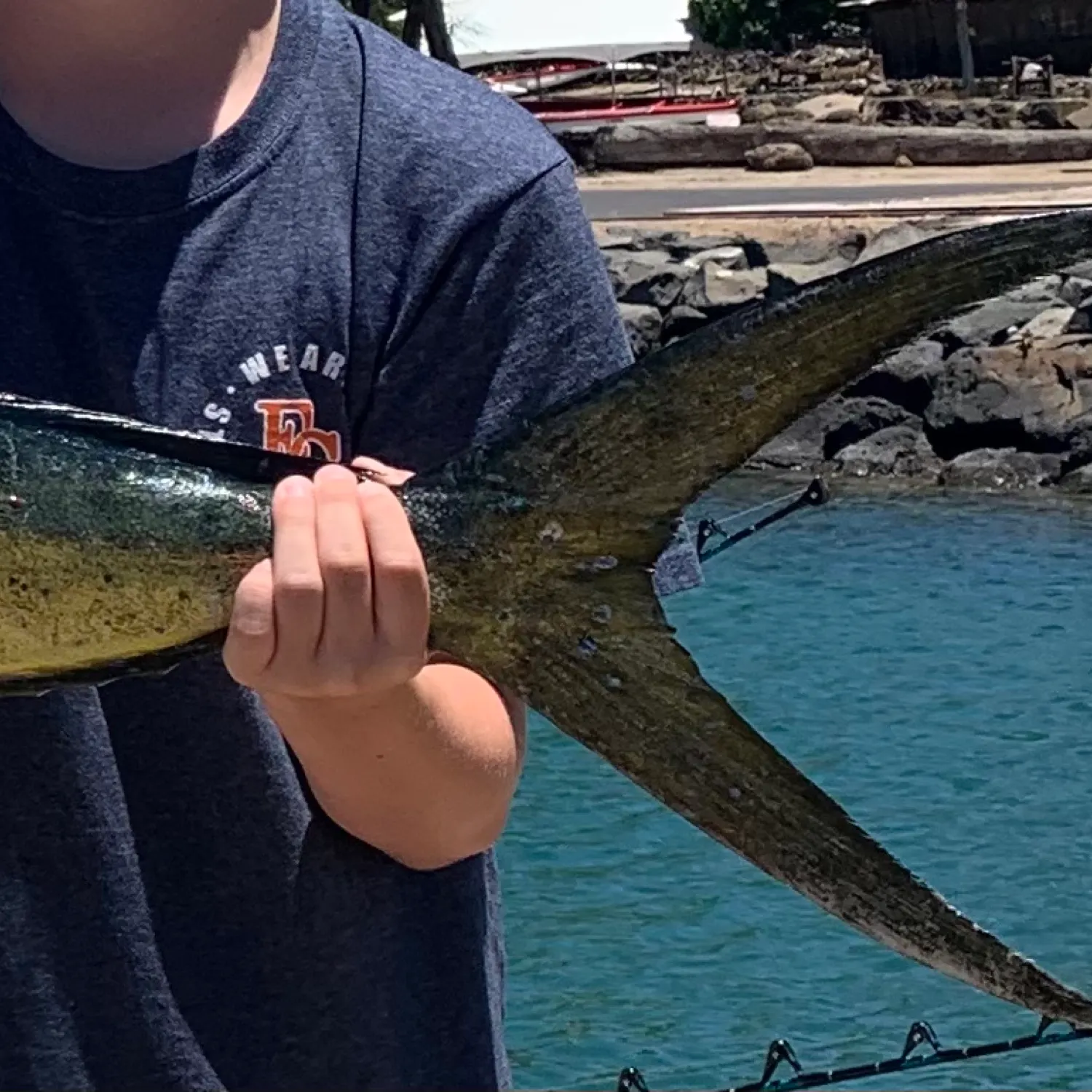 The most recent Common dolphinfish catches on Fishbrain