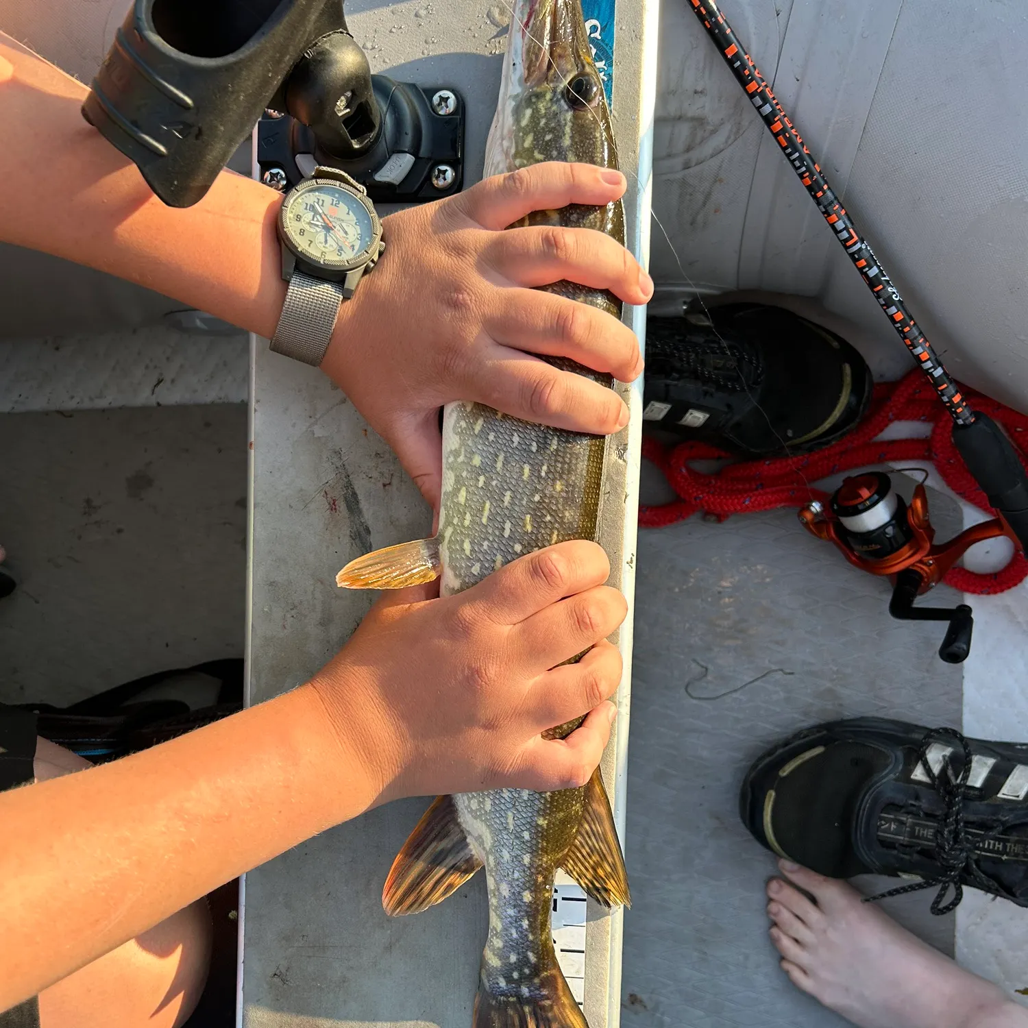 recently logged catches