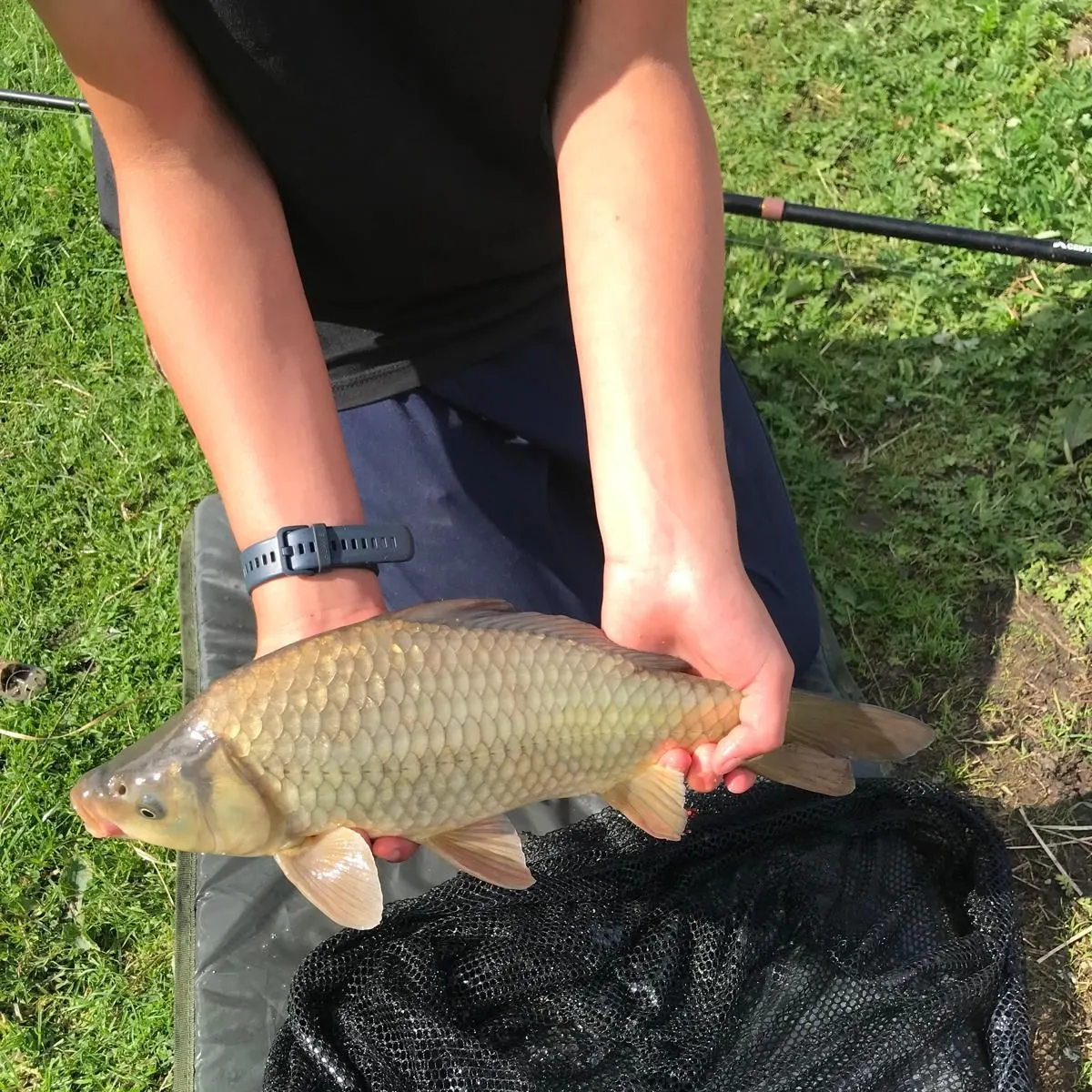 F1 carp caught on Fishbrain