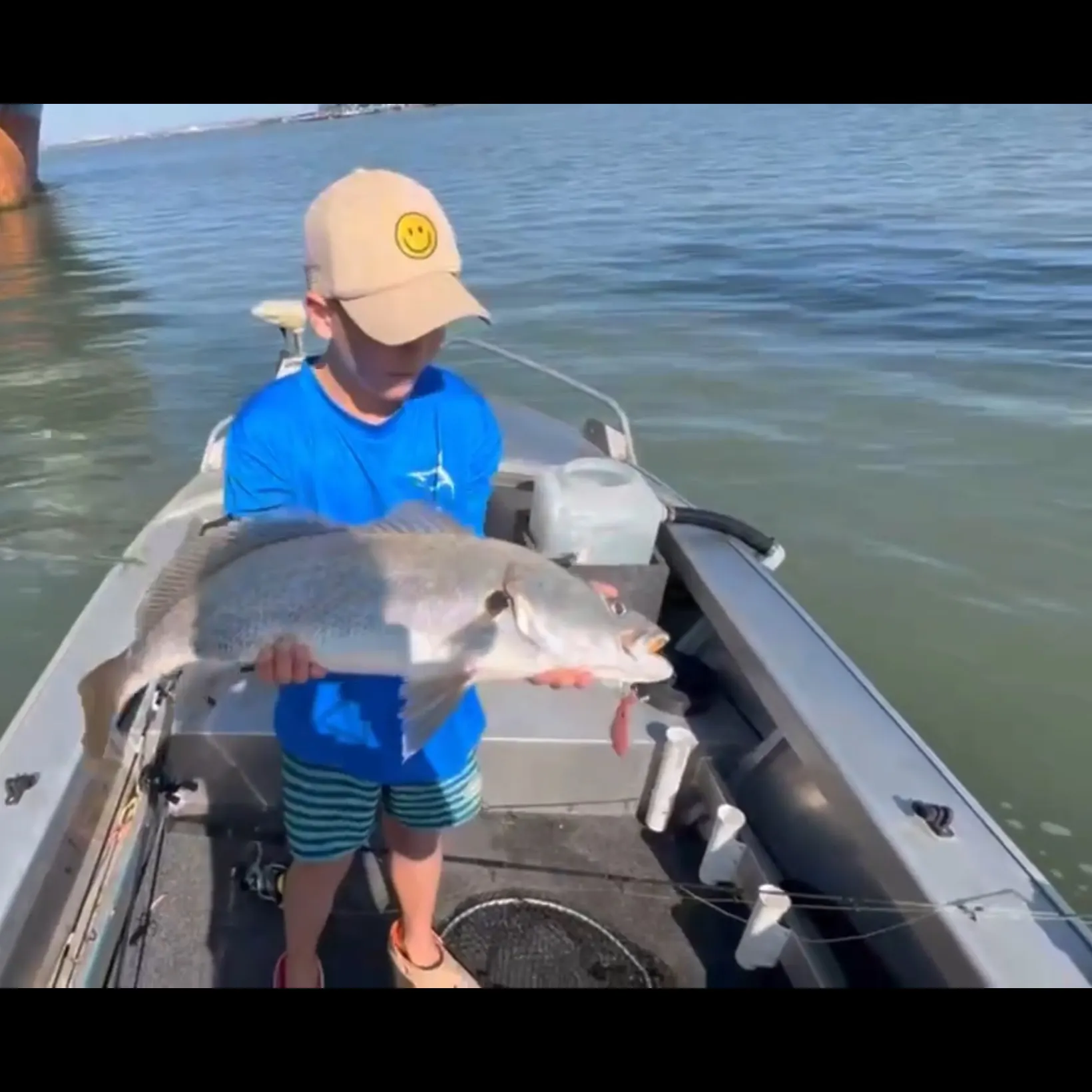 The most recent Japanese meagre catches on Fishbrain