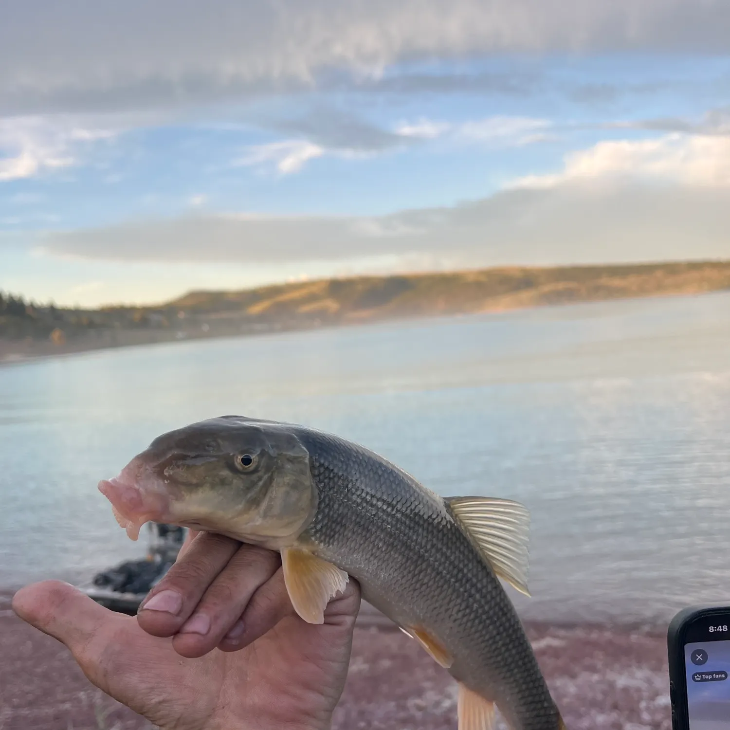 recently logged catches
