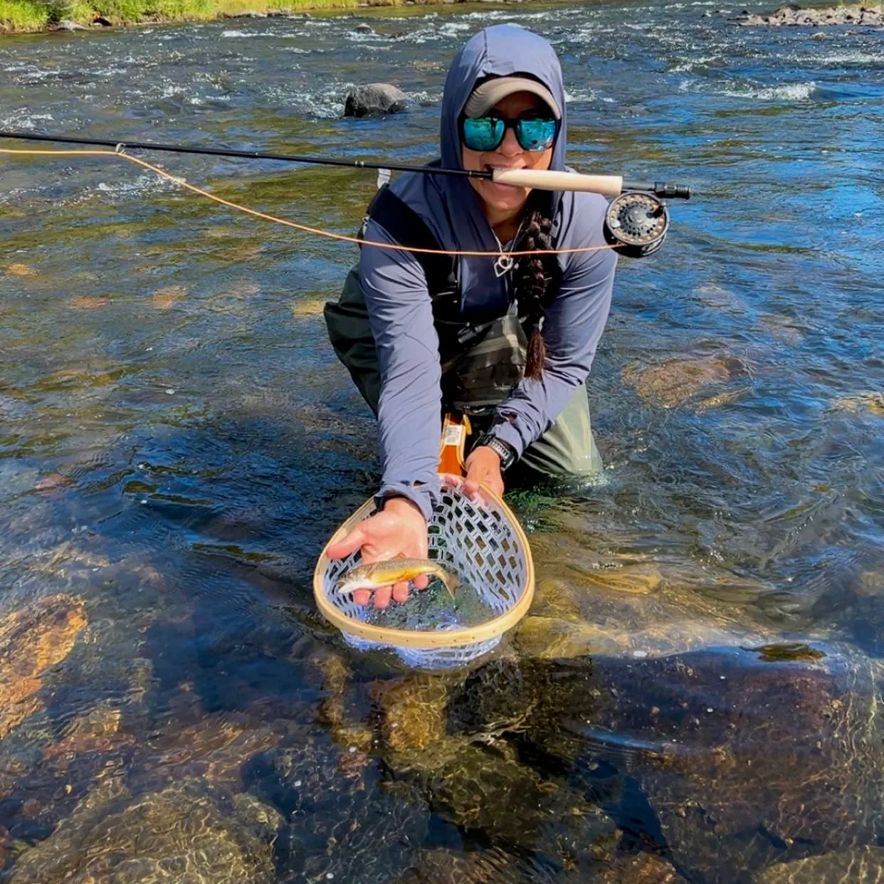 Brown trout caught on Fishbrain