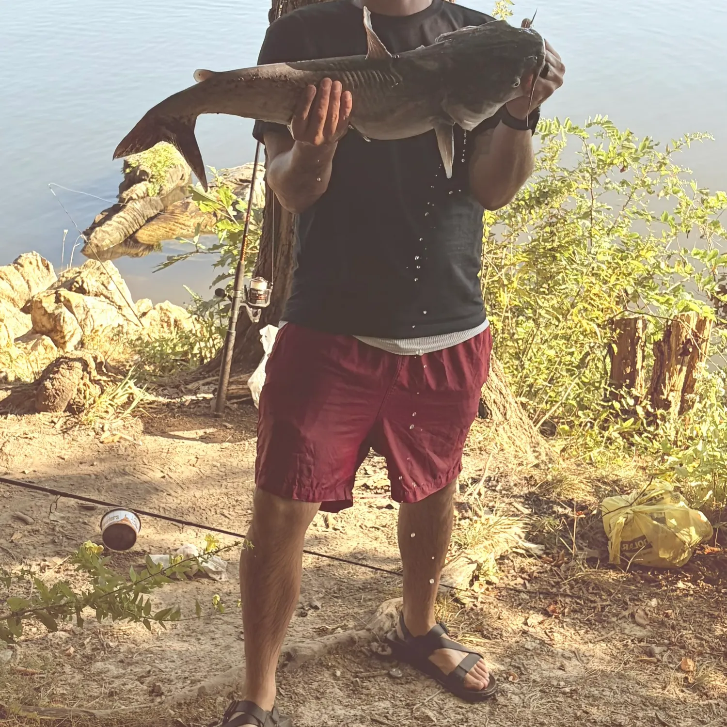 Blue catfish caught on Fishbrain