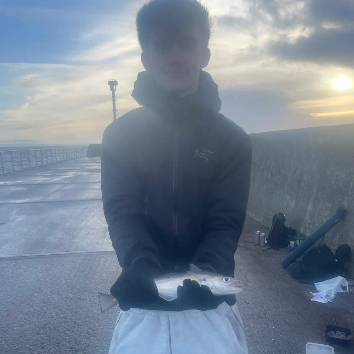 The most recent Starry smooth-hound catches on Fishbrain