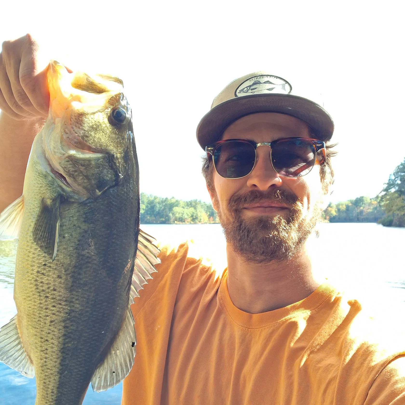 Largemouth bass caught on Fishbrain