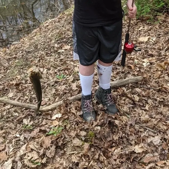 Fish caught on Fishbrain