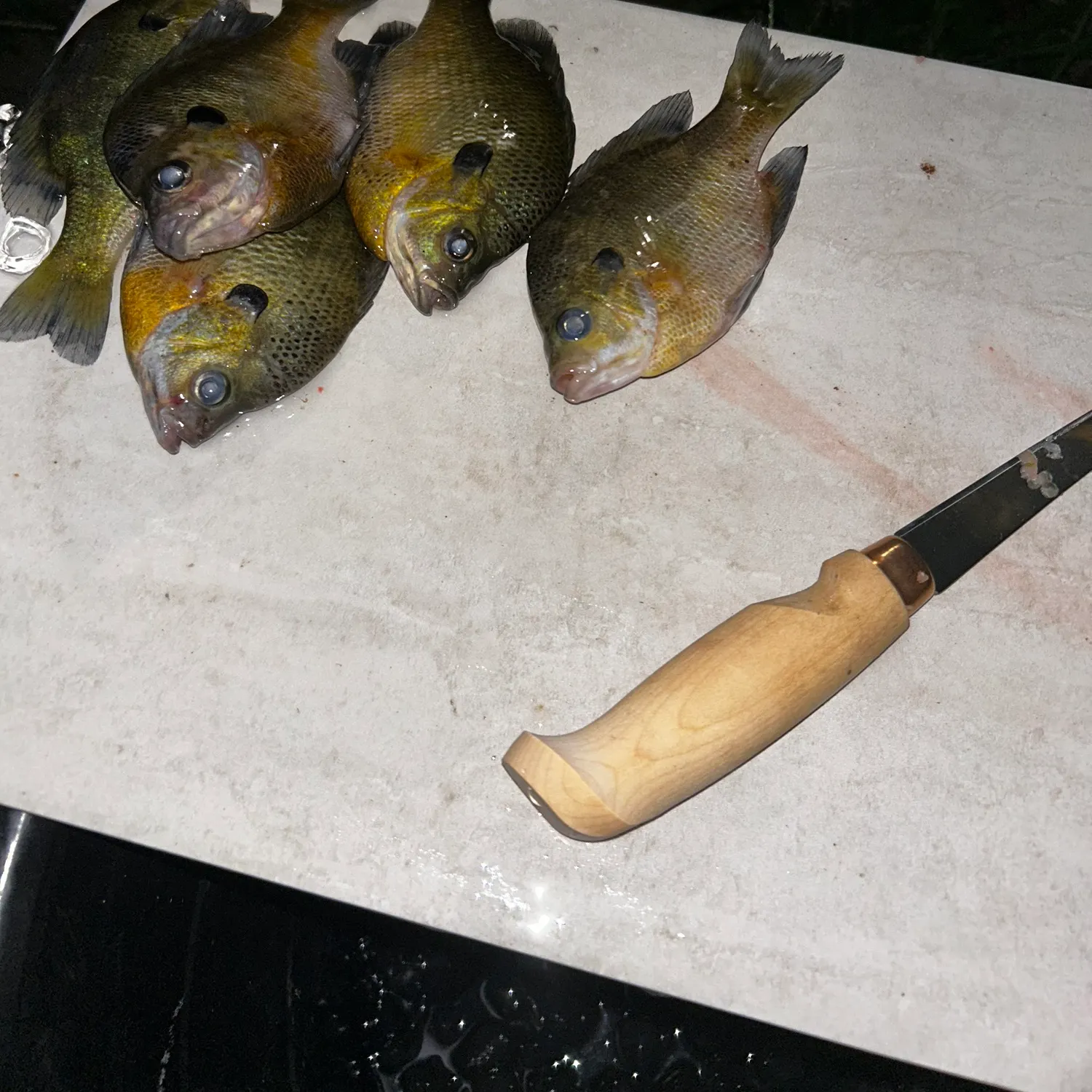 recently logged catches