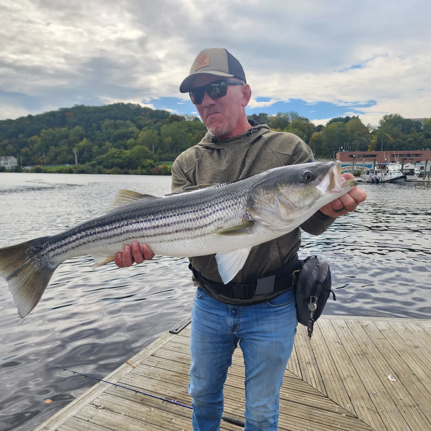 Striped bass caught on Fishbrain