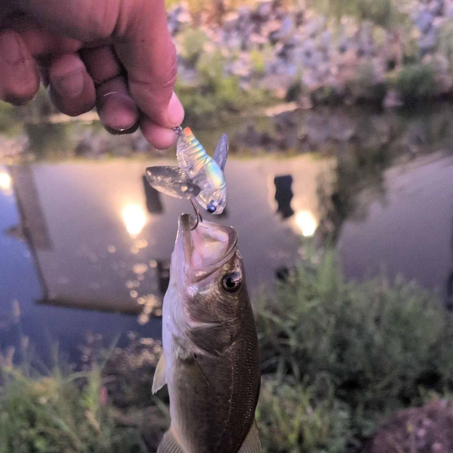 catch