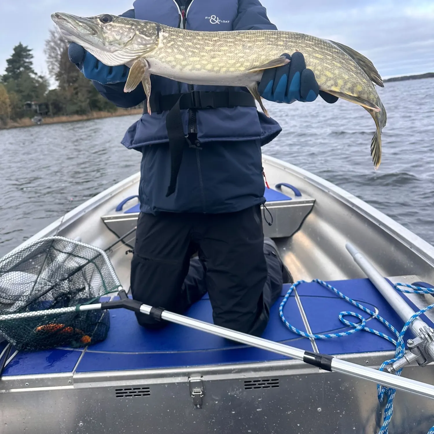 Northern pike caught on Fishbrain