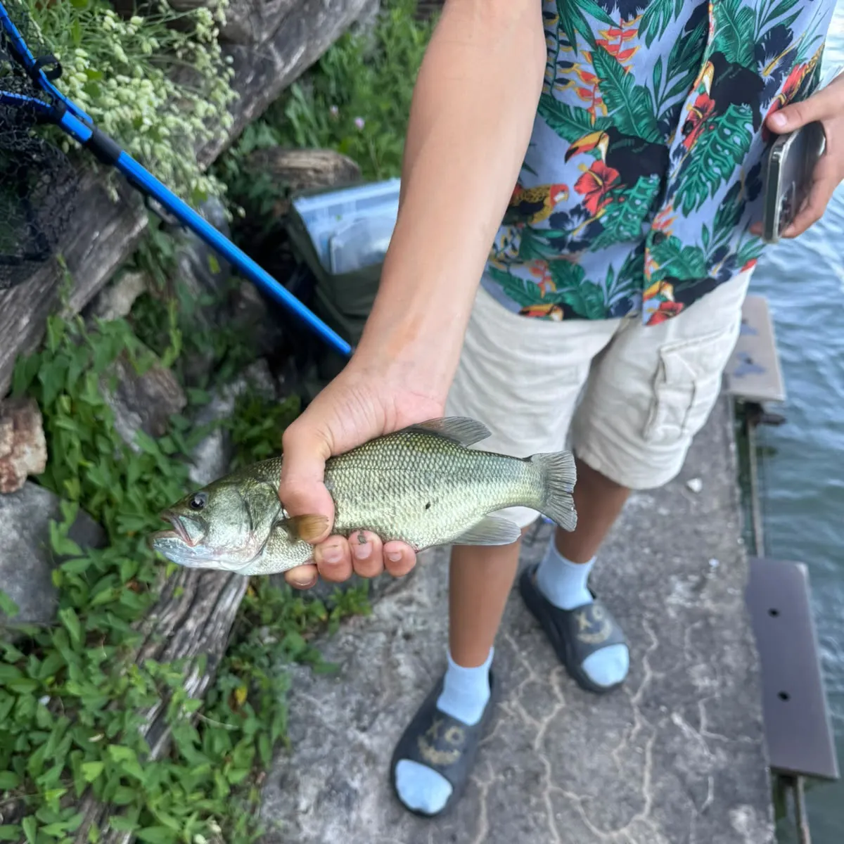 European seabass caught on Fishbrain
