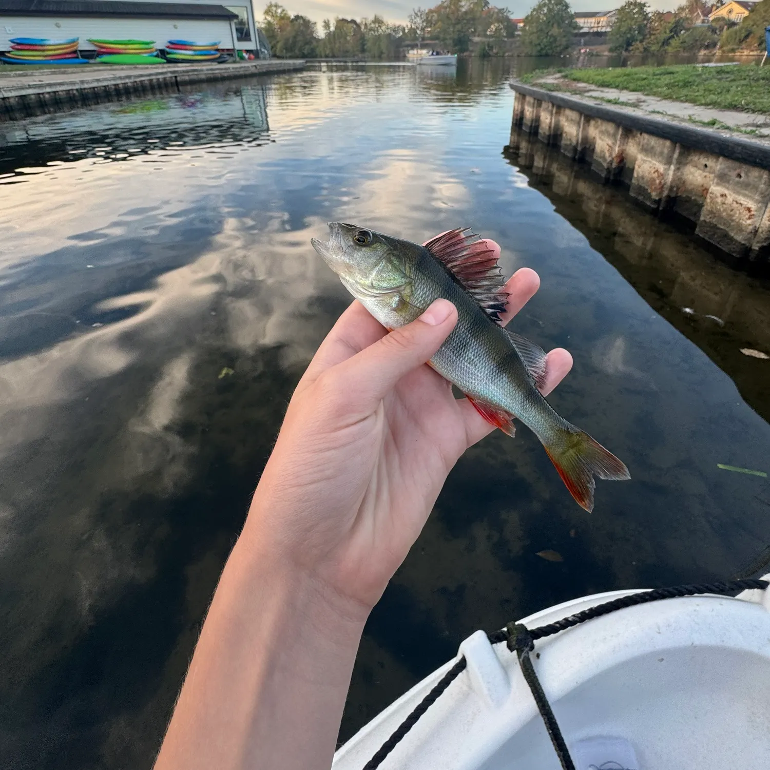 catch