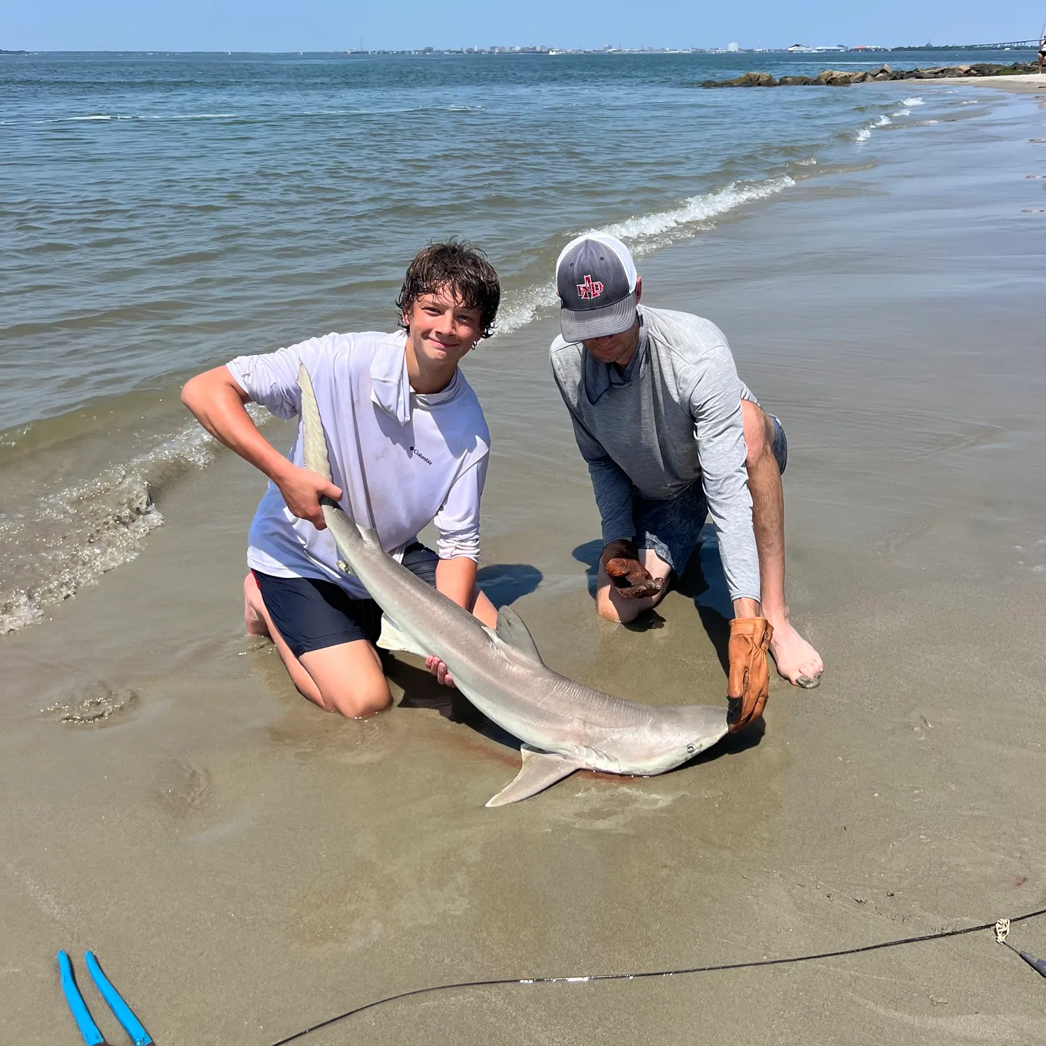 The most recent Sandbar shark catches on Fishbrain