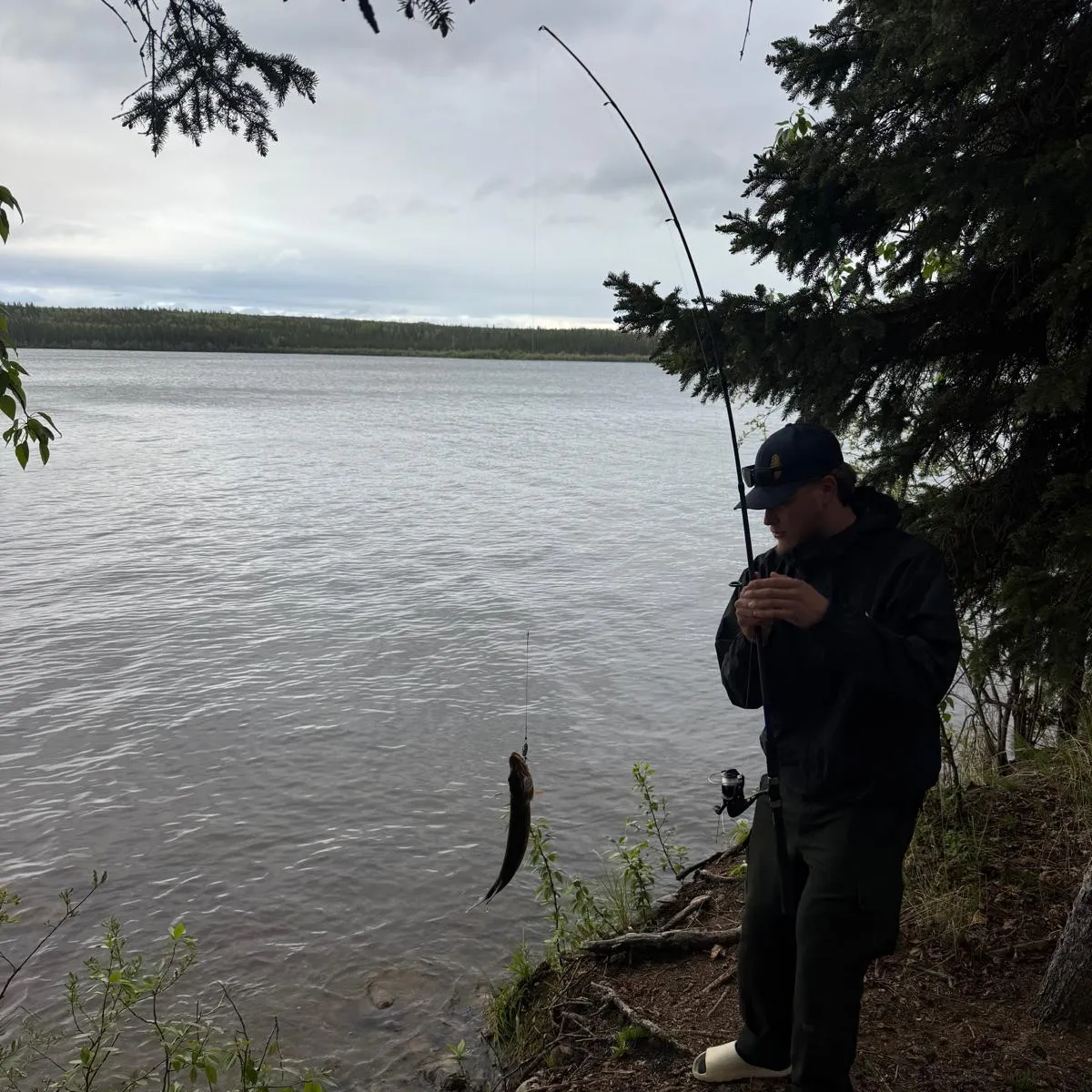The most recent Northern pike catches on Fishbrain