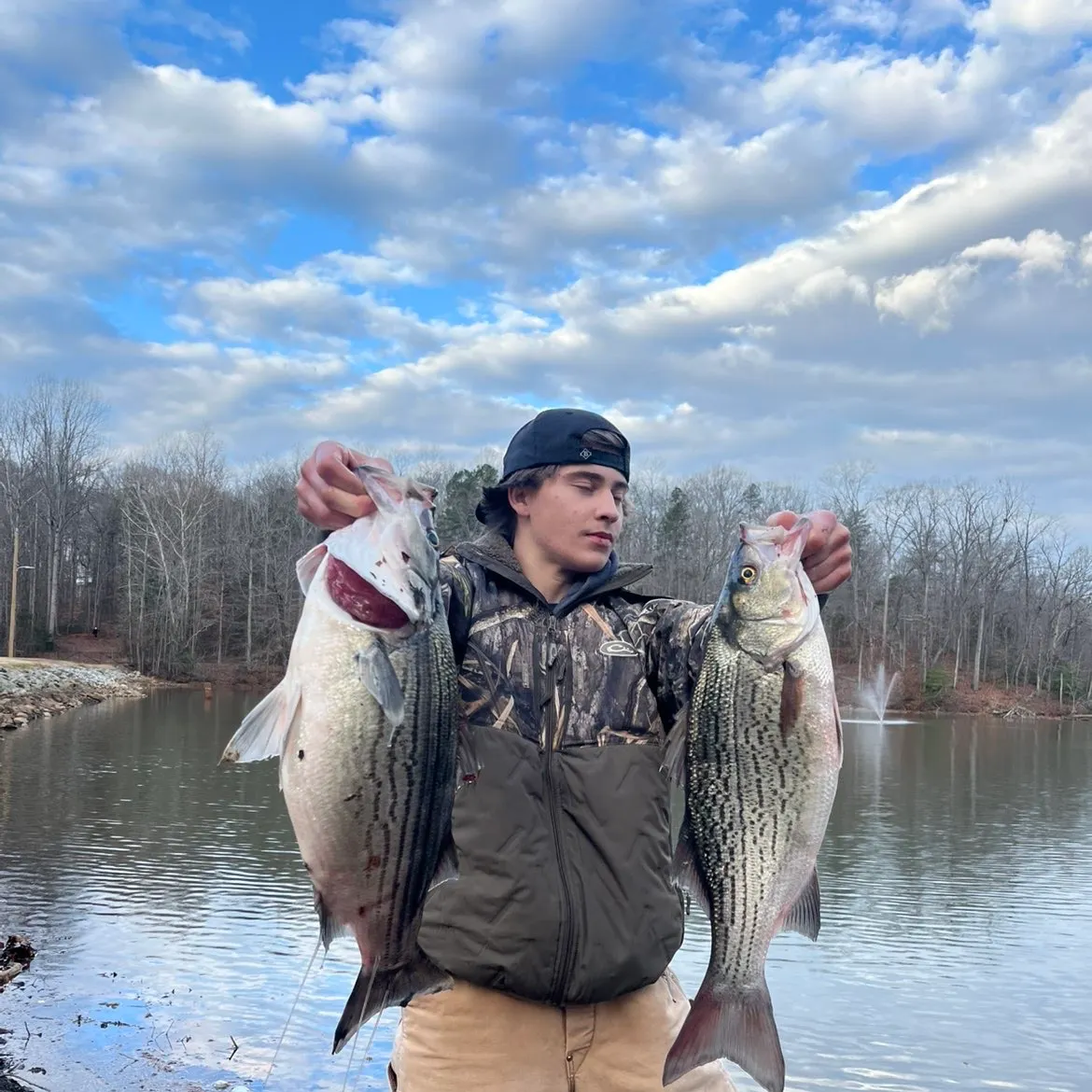 The most recent Hybrid striped bass catches on Fishbrain