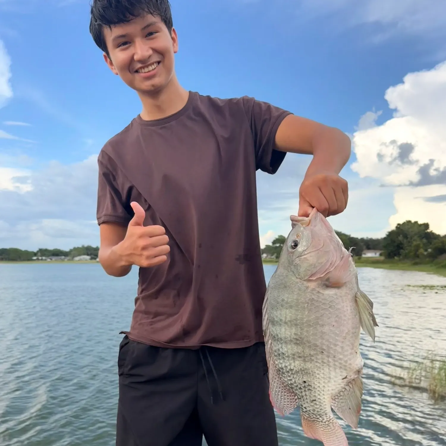The most recent Nile tilapia catches on Fishbrain