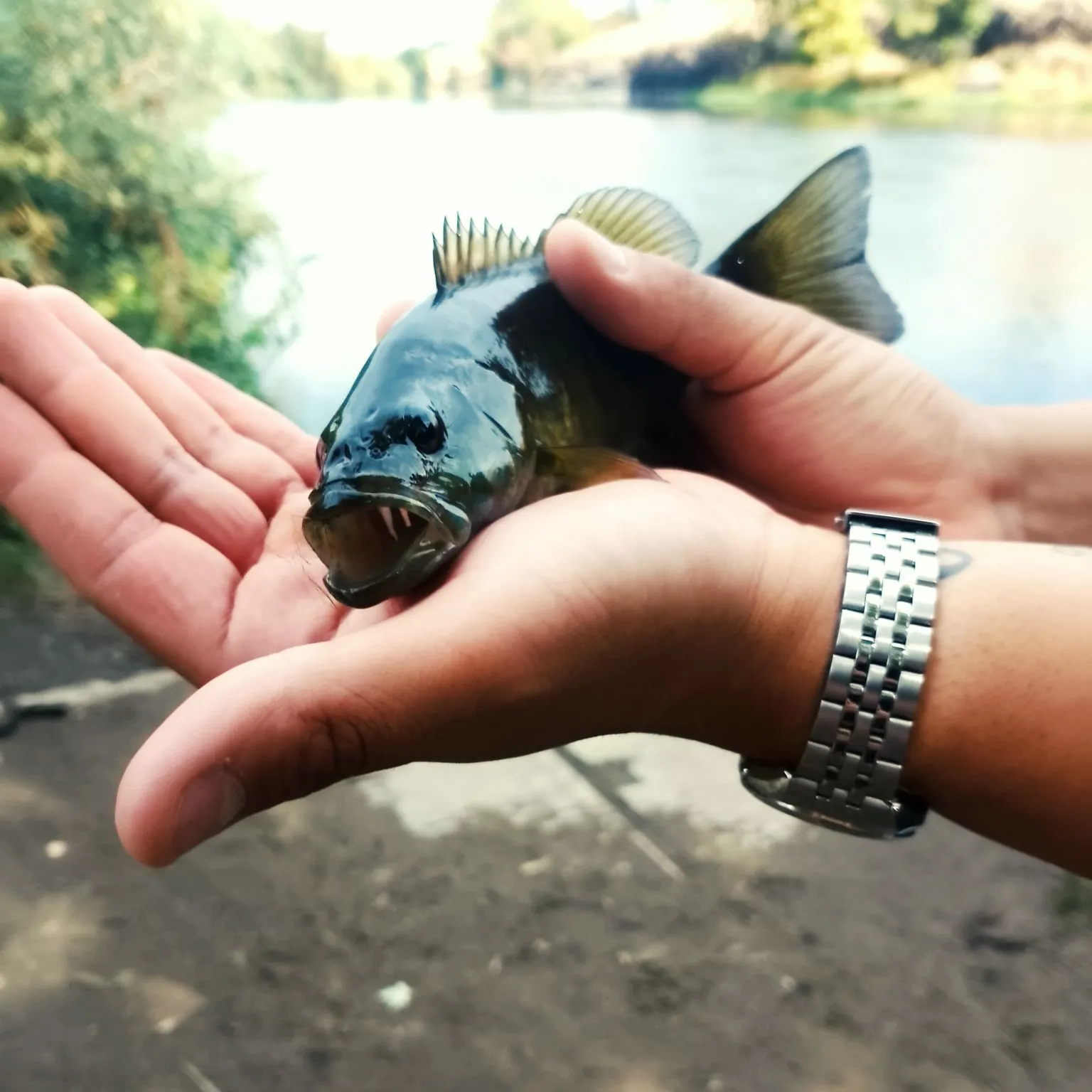 catch