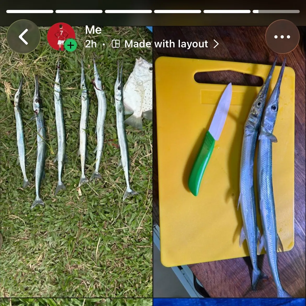 recently logged catches