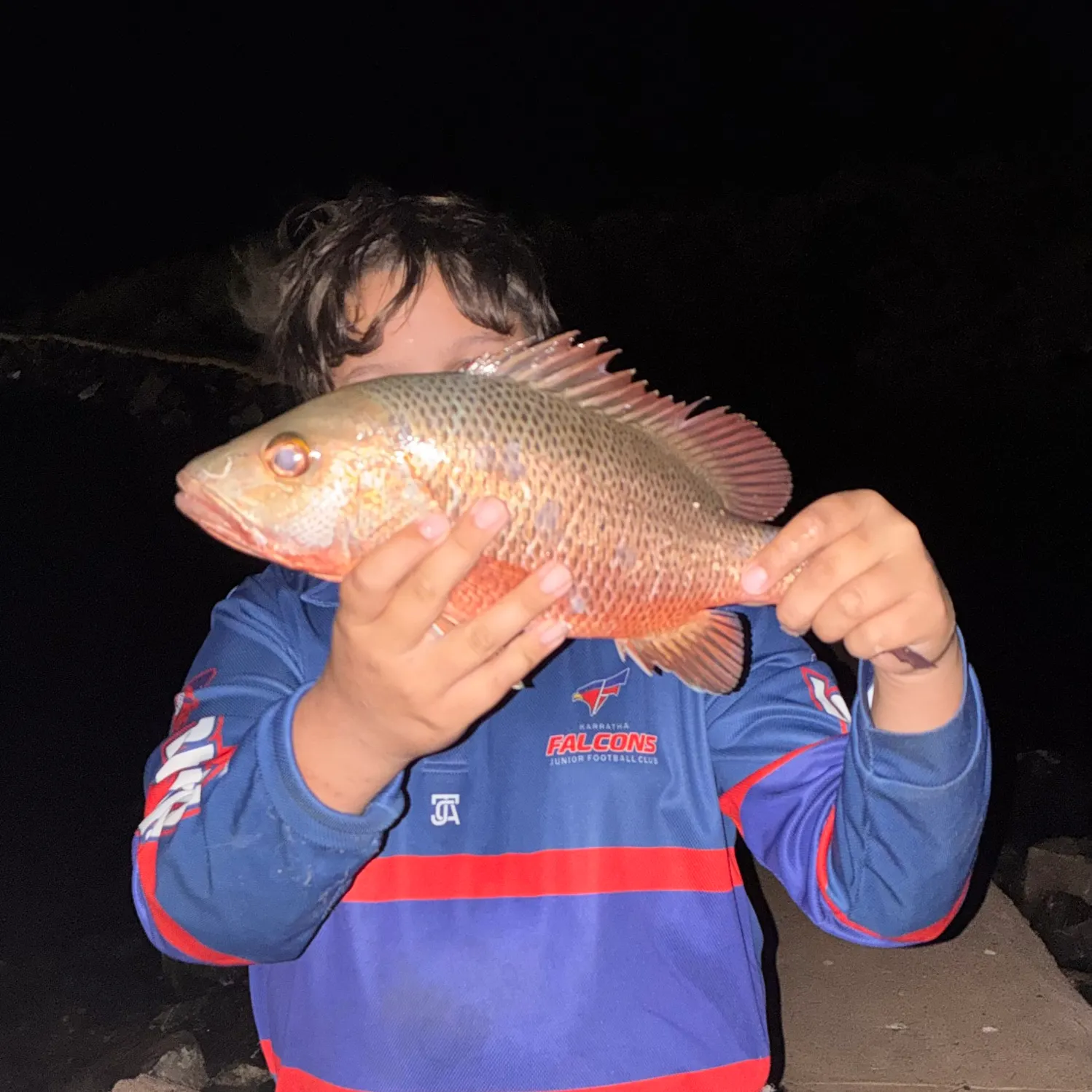 Mangrove snapper caught on Fishbrain