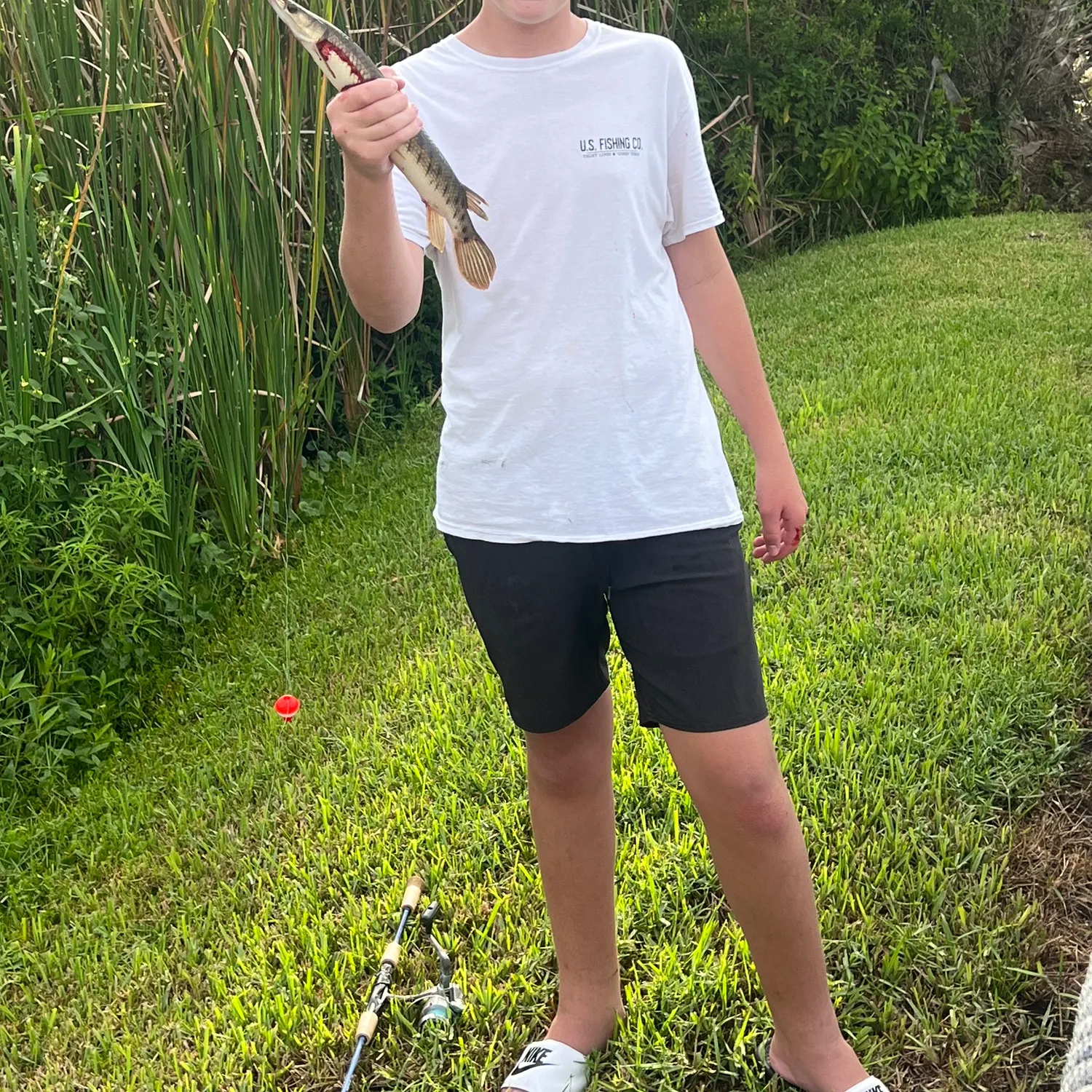 The most recent Spotted gar catches on Fishbrain