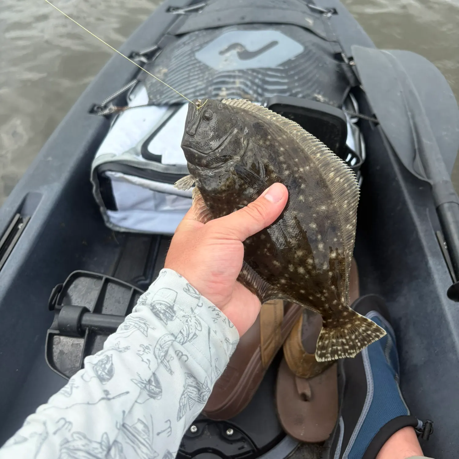 Summer flounder caught on Fishbrain