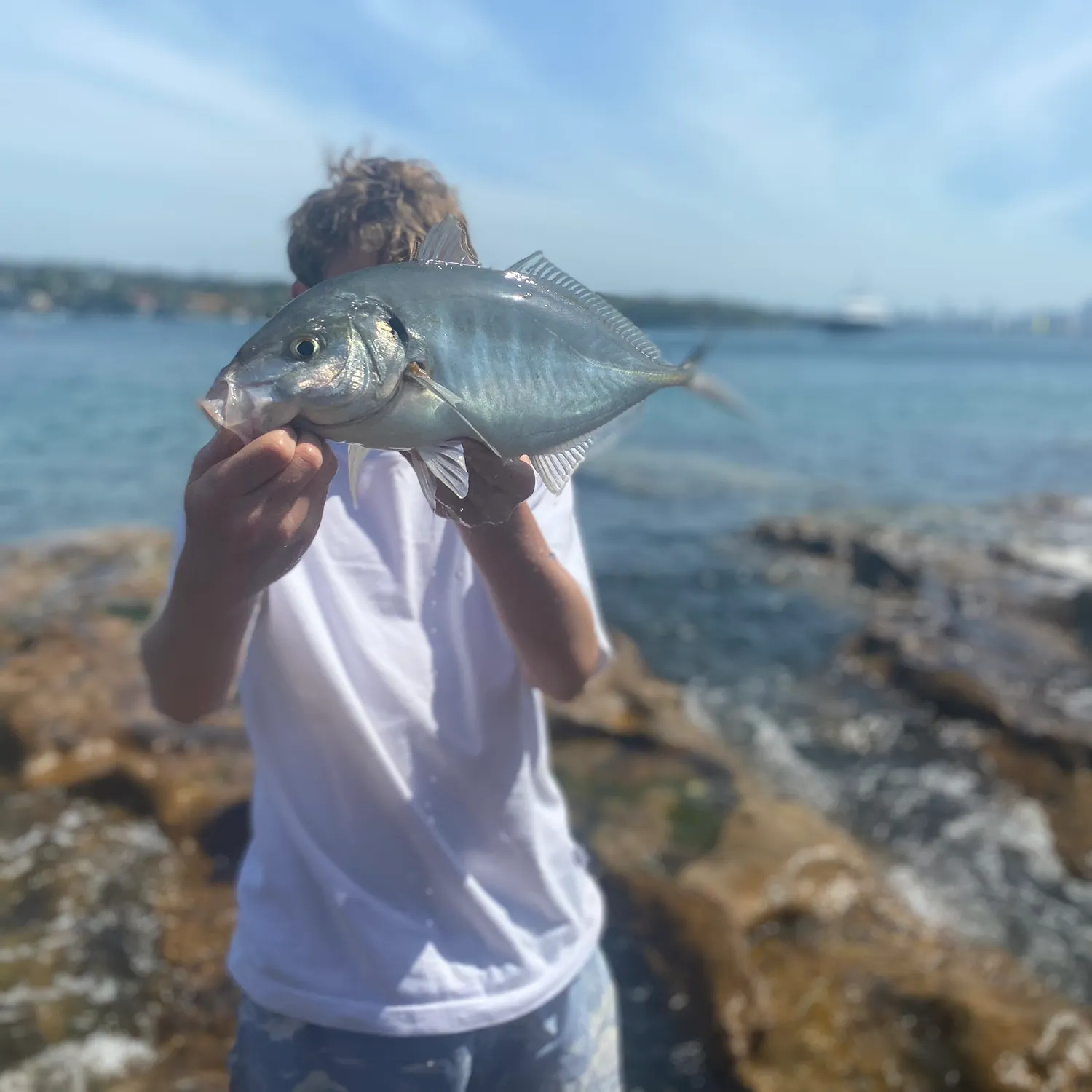 The most recent White trevally catches on Fishbrain