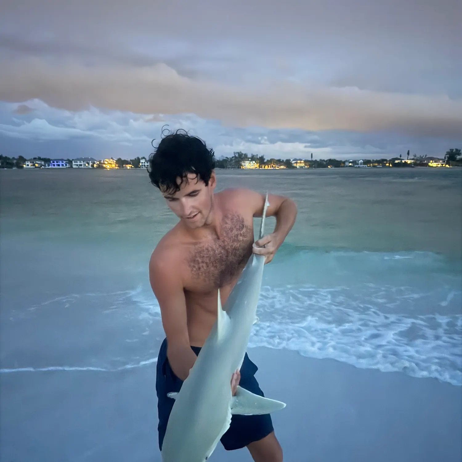 Sandbar shark caught on Fishbrain