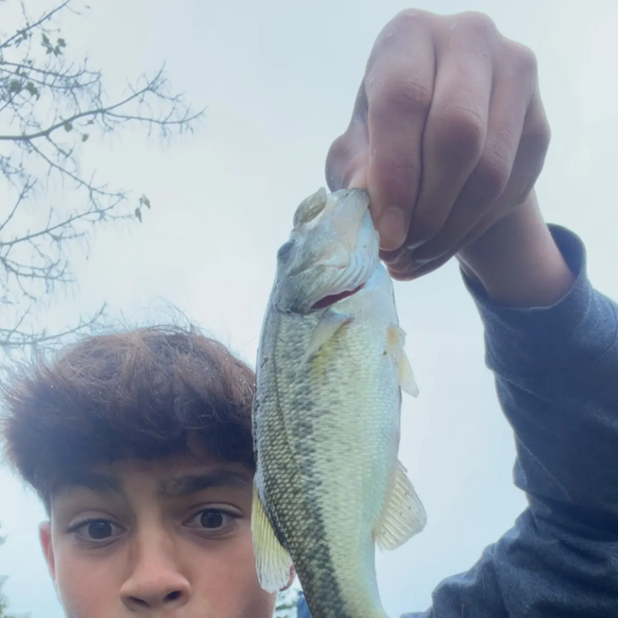 Smallmouth bass caught on Fishbrain
